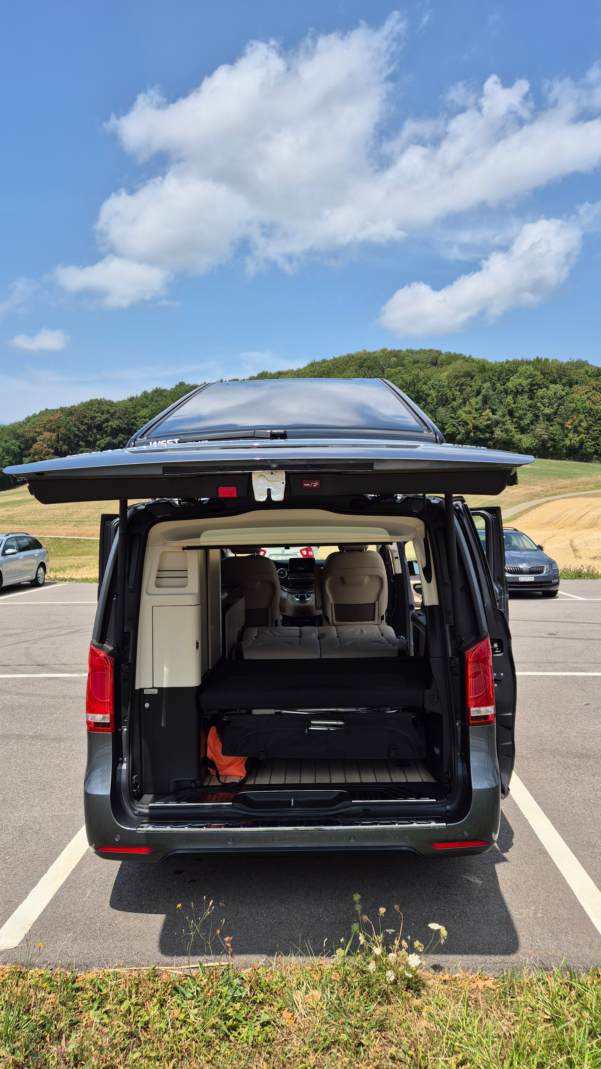 MERCEDES-BENZ 250 d 4matic-image-4