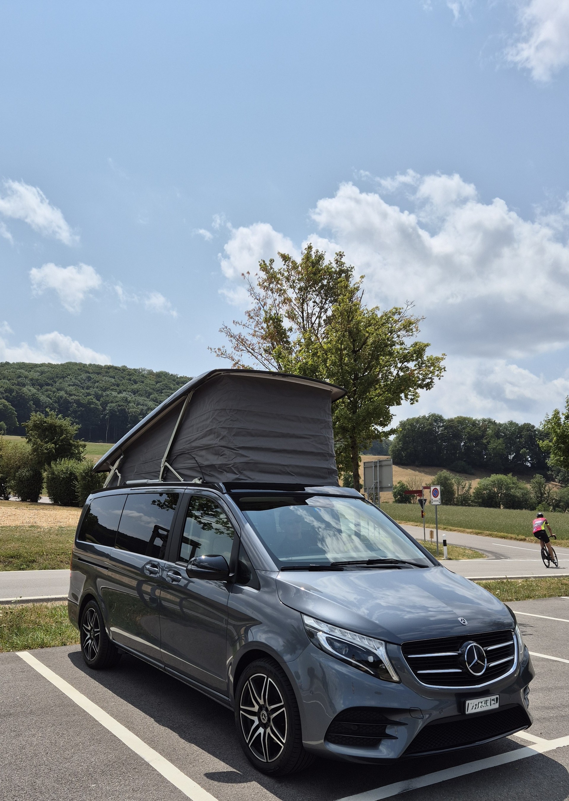MERCEDES-BENZ 250 d 4matic-image-1