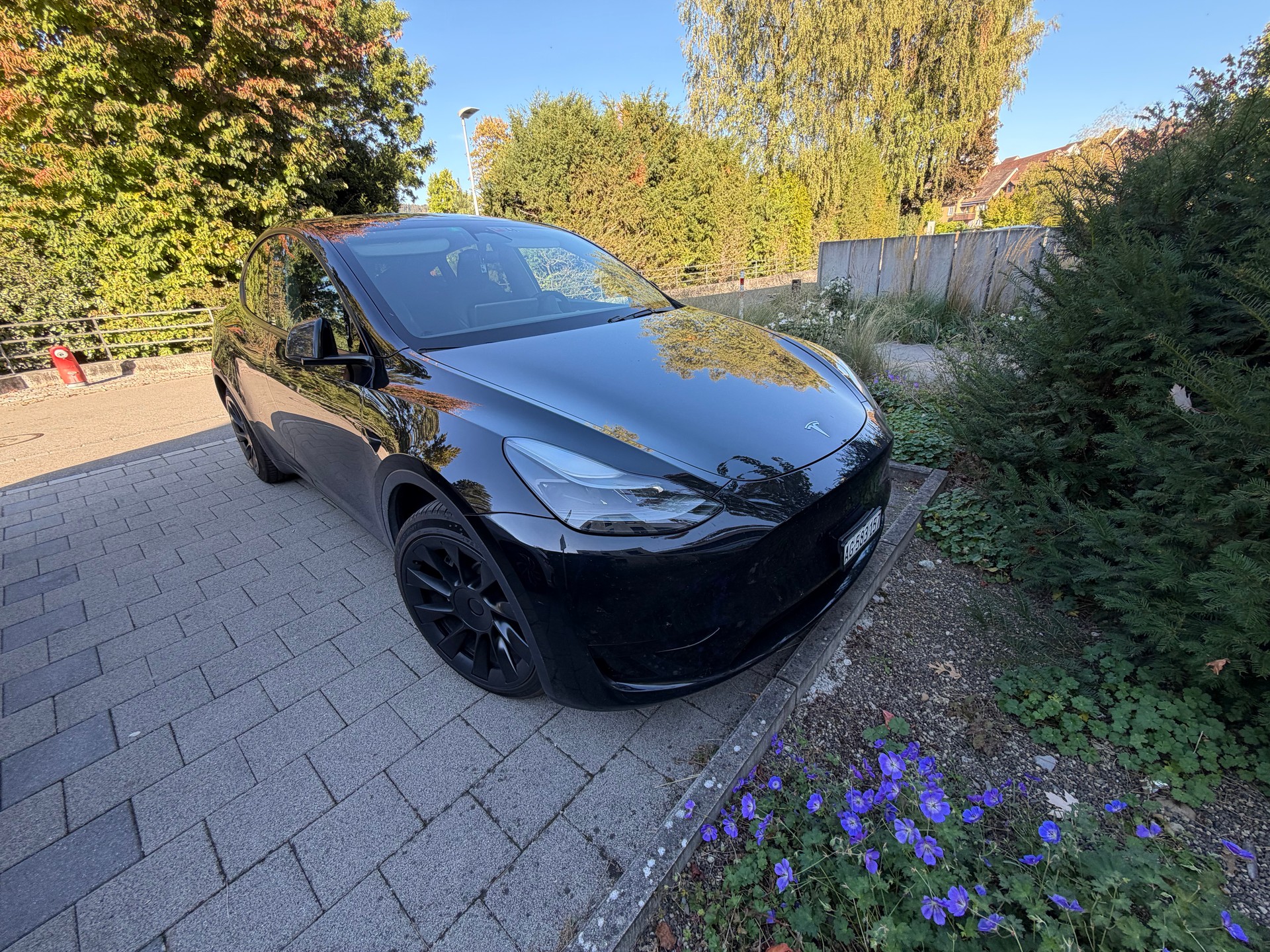 TESLA MODEL Y PREMIUM LFP RWD-image-3