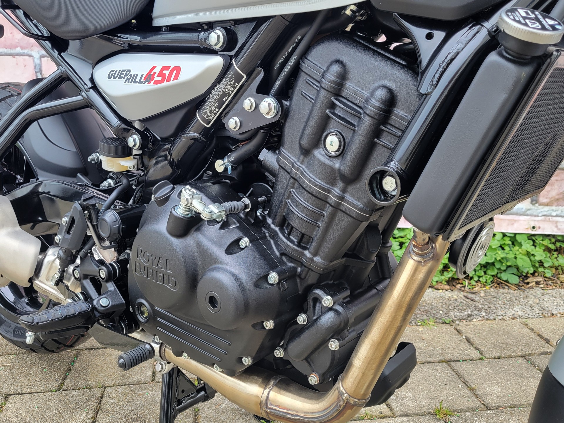 ROYAL ENFIELD Guerrilla 450 Mid-image-4