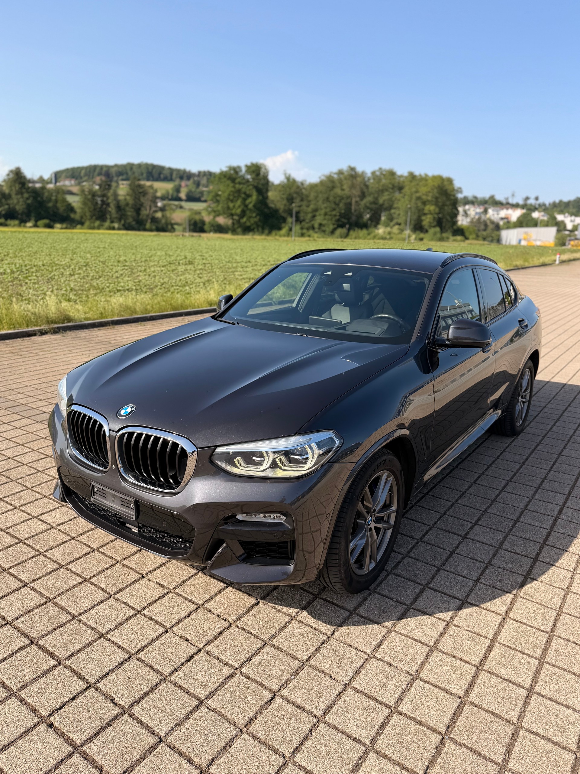 BMW X4 xDrive 30d M Sport X Steptronic-showroom-element-1