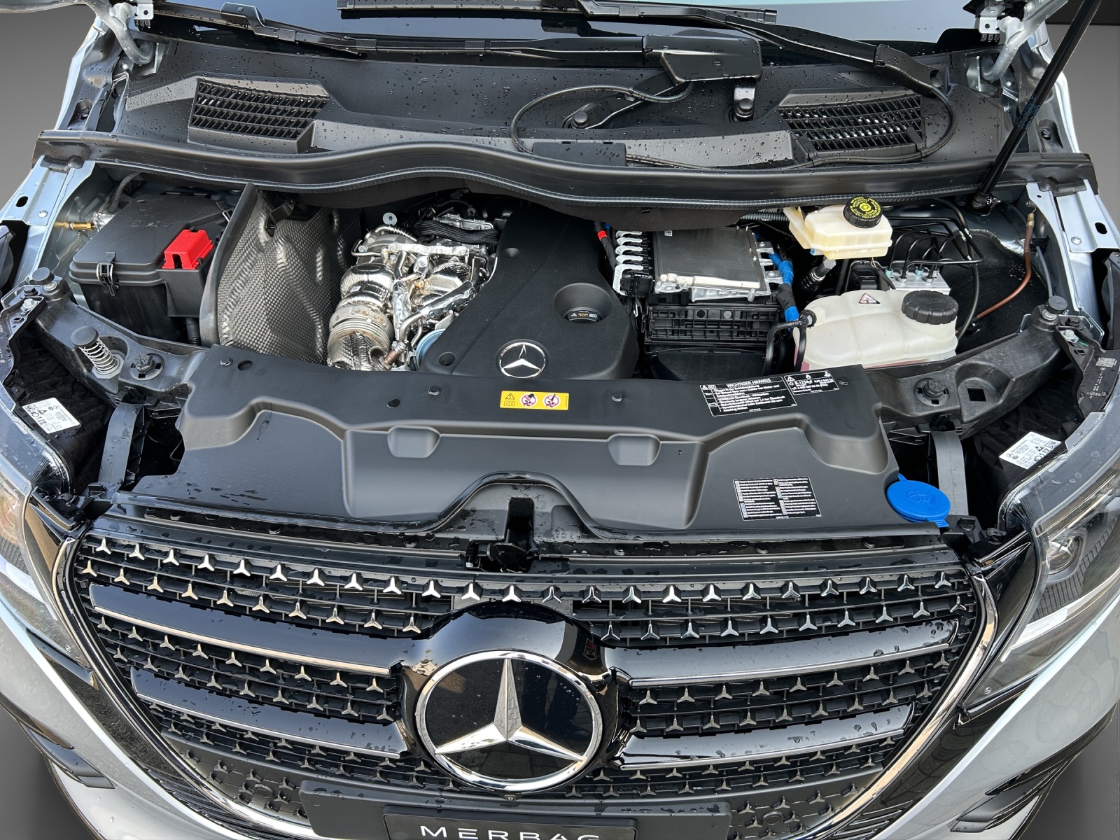 MERCEDES-BENZ V 300 d lang 4Matic Swiss Edition 9G-Tronic-image-10