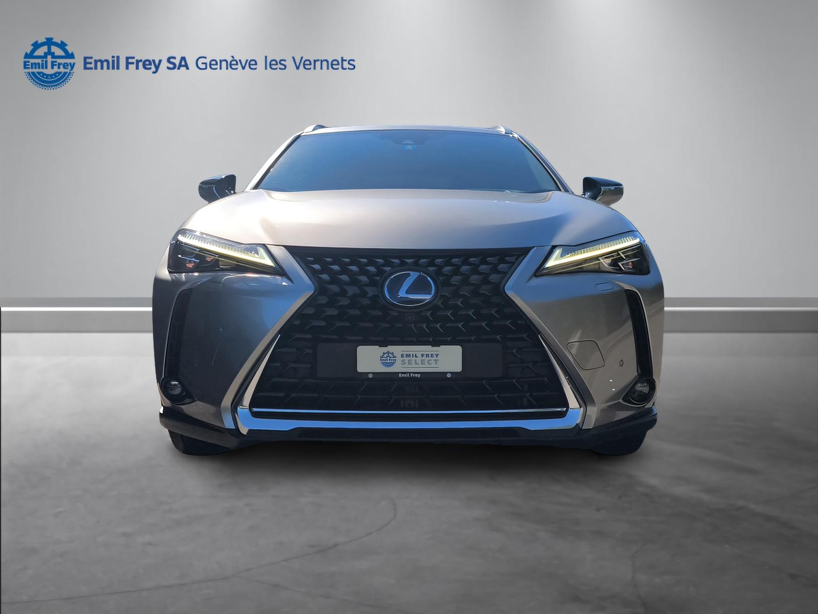 LEXUS UX 250h Excellence-image-1