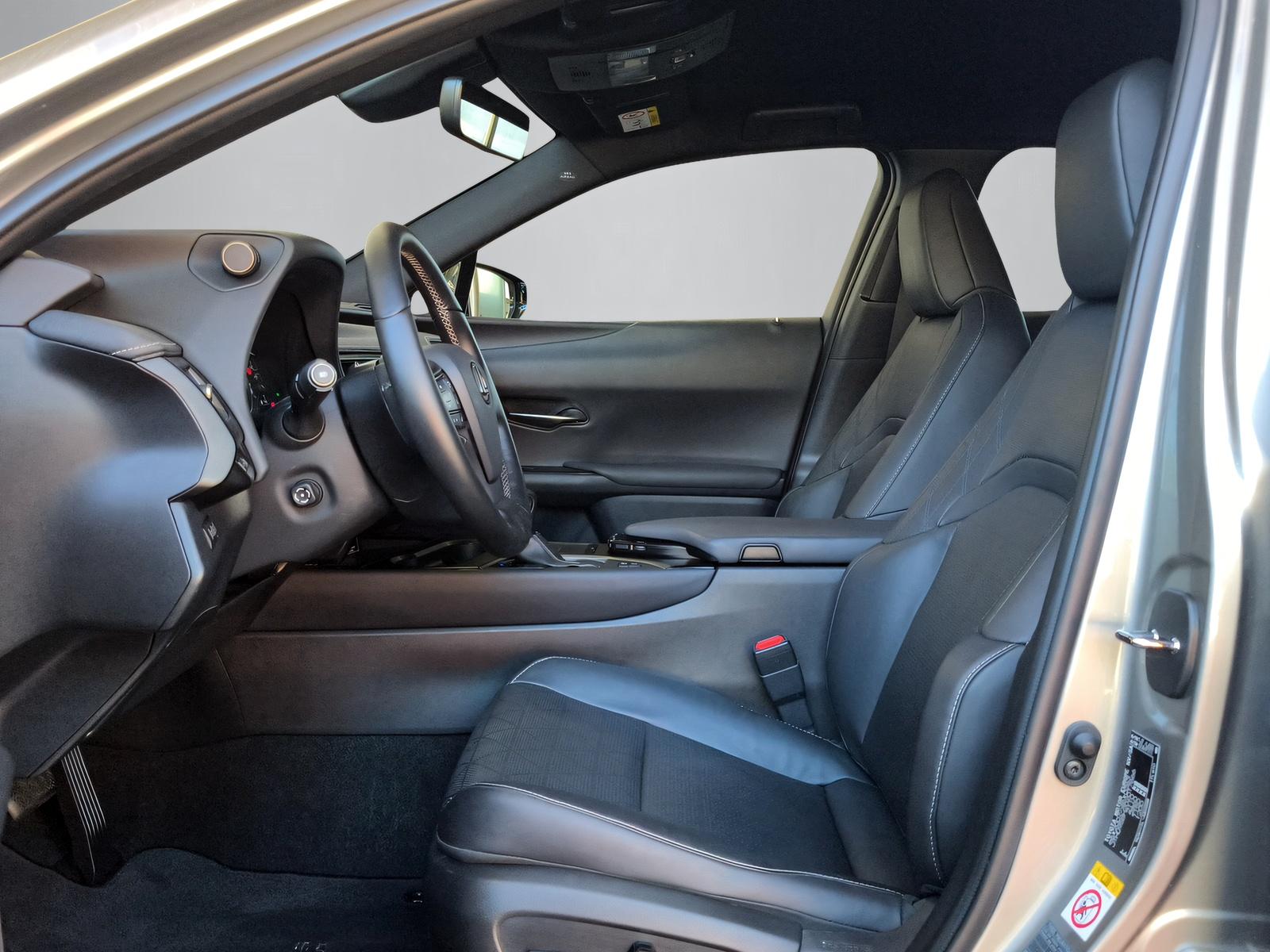 LEXUS UX 250h Excellence-image-2