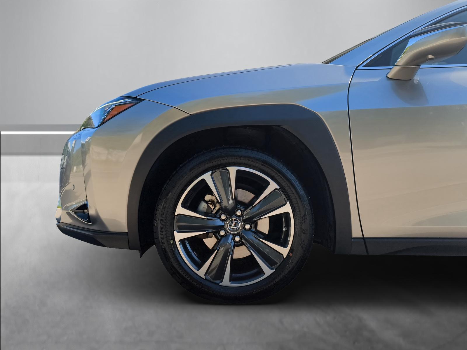 LEXUS UX 250h Excellence-image-11