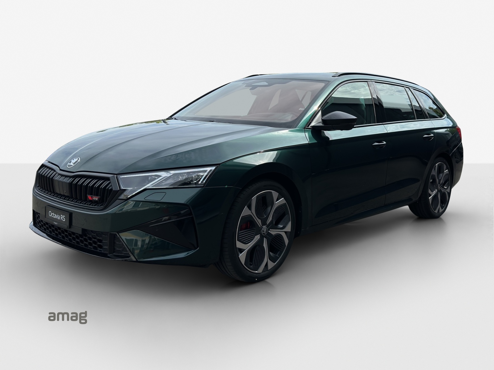 SKODA Octavia Combi 2.0 TSI DSG RS 30 Years Edition-image-0