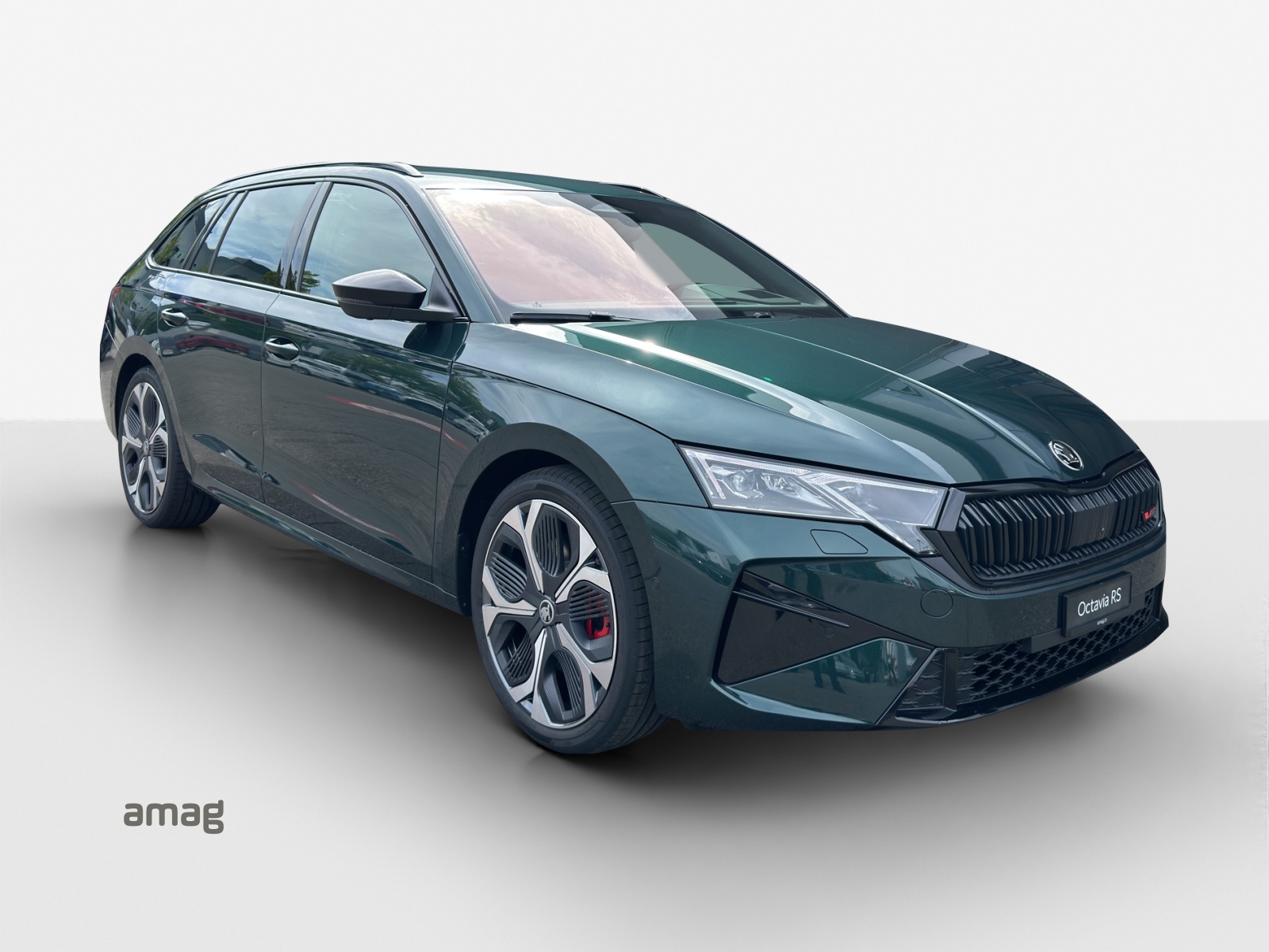 SKODA Octavia Combi 2.0 TSI DSG RS 30 Years Edition-image-5