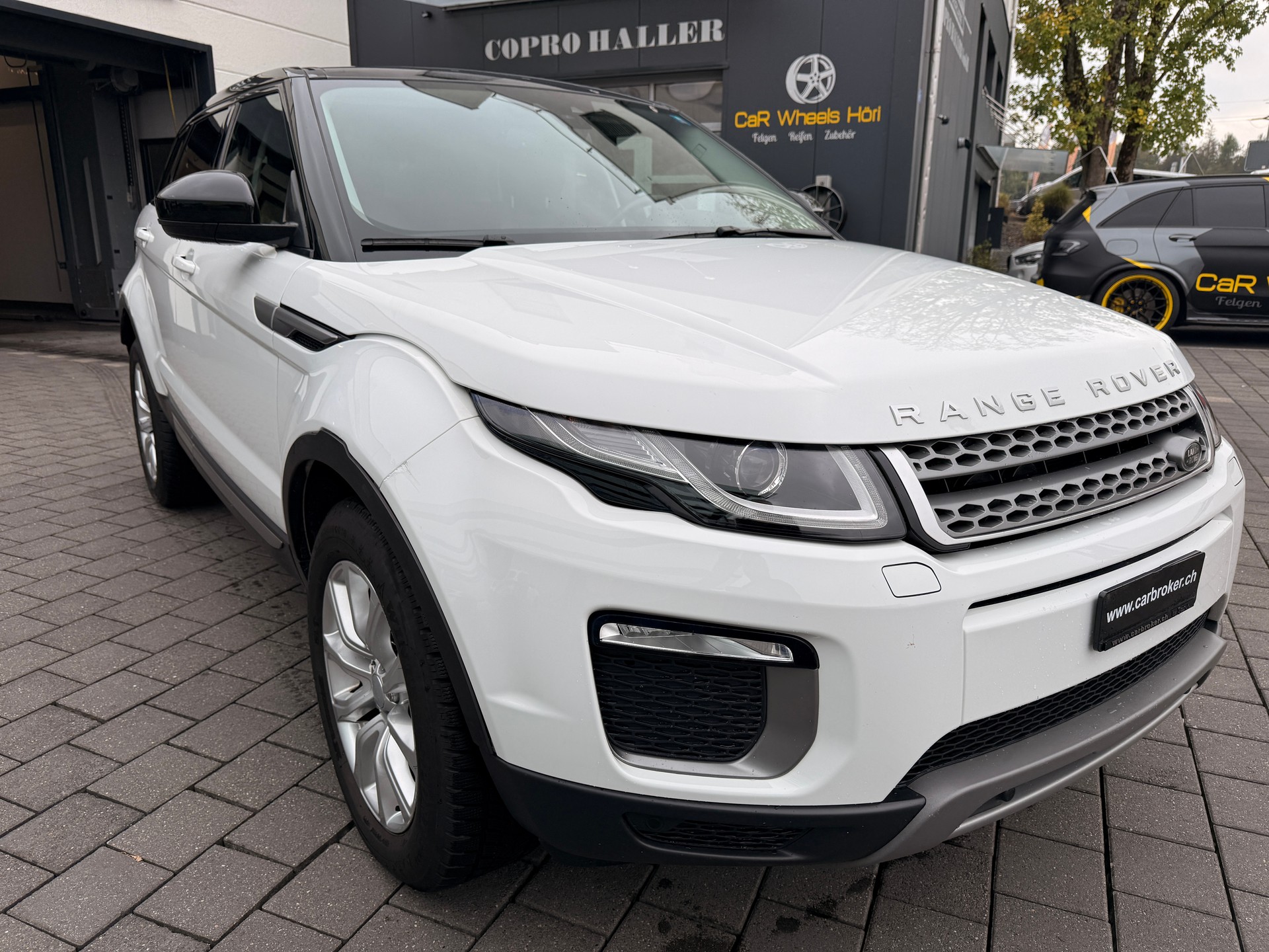LAND ROVER Range Rover Evoque 2.0 TD4 SE Dynamic AT9-image-4