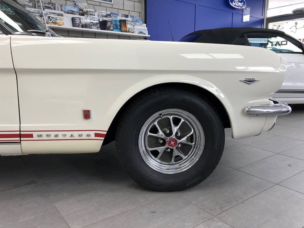 FORD MUSTANG V8-image-4