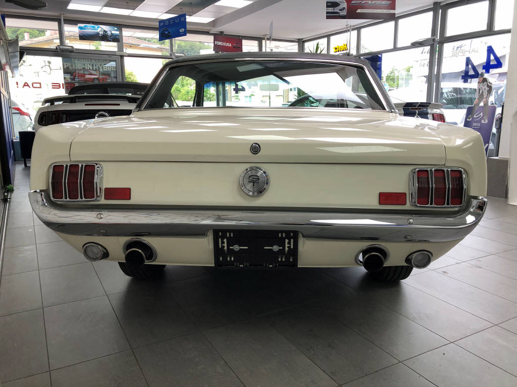 FORD MUSTANG V8-image-6