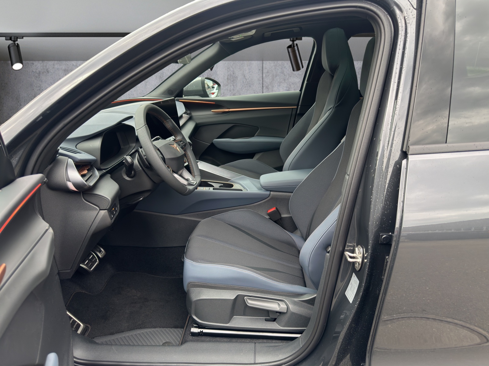 CUPRA Terramar 2.0 TSI DSG 4Drive-image-5