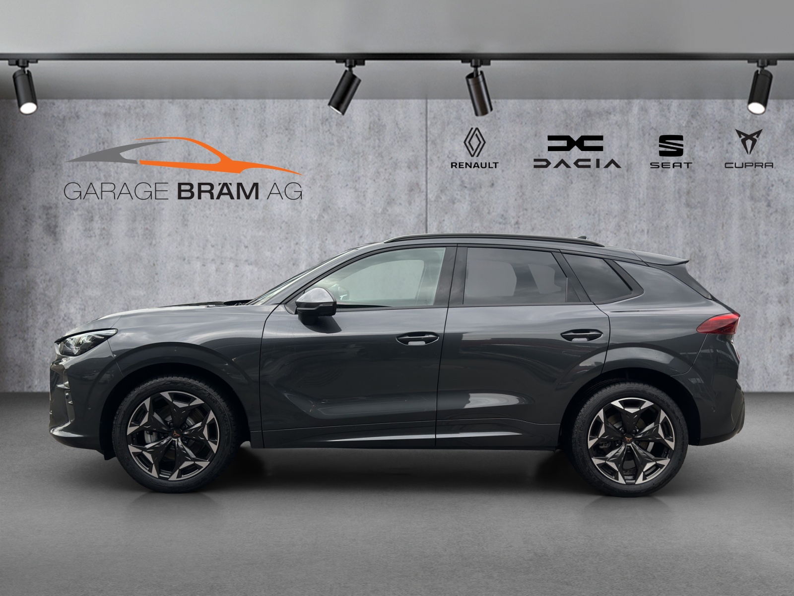 CUPRA Terramar 2.0 TSI DSG 4Drive-image-2