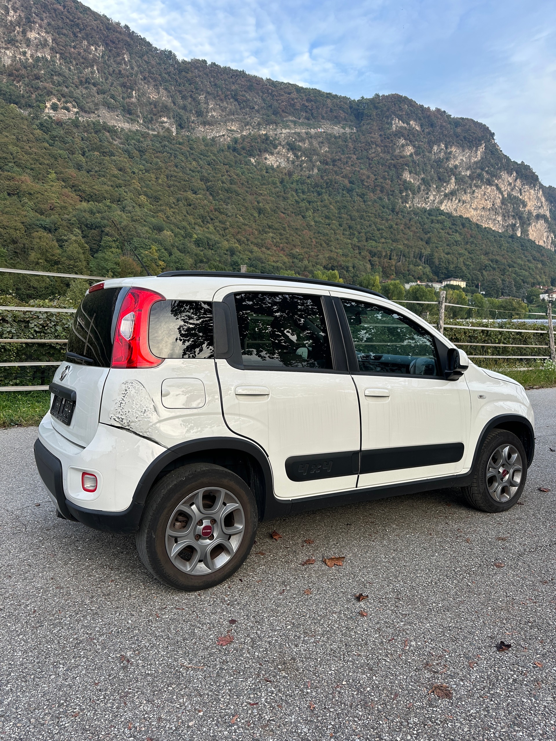 FIAT Panda 0.9 Twinair Turbo Antartica 4x4-image-6