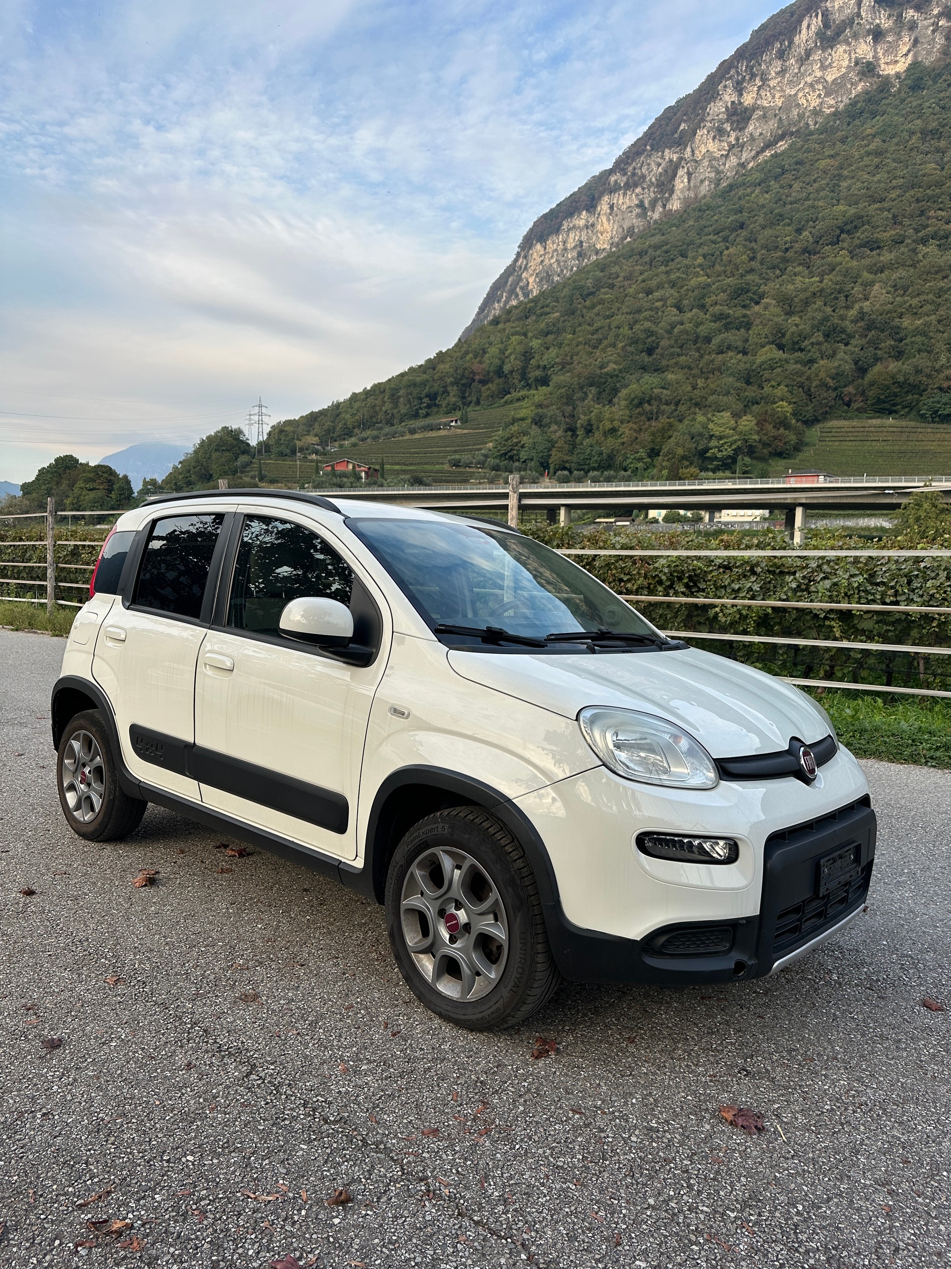 FIAT Panda 0.9 Twinair Turbo Antartica 4x4-image-4