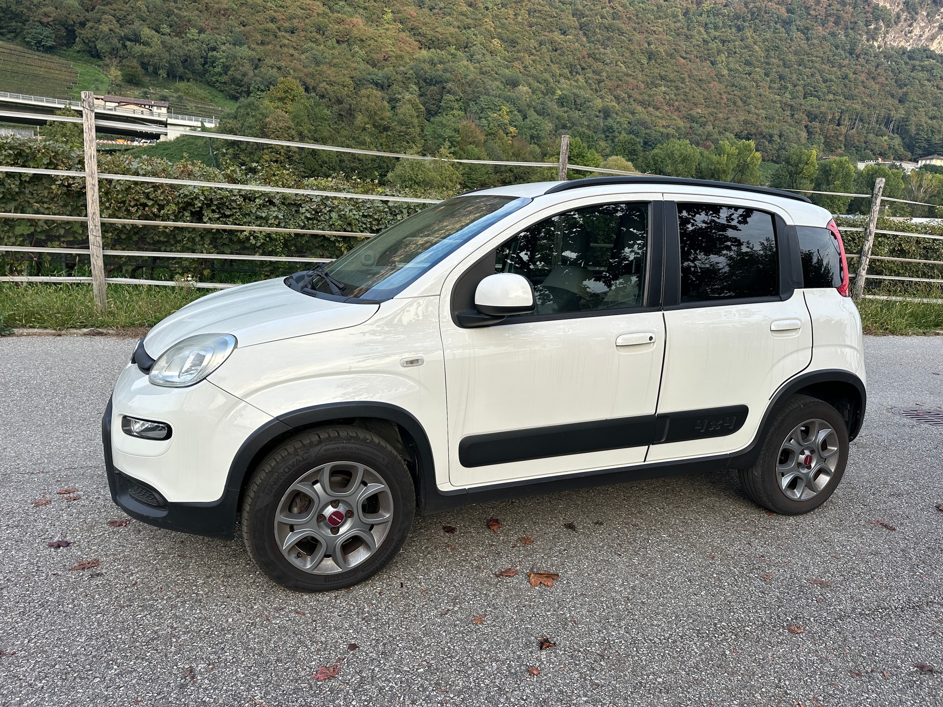 FIAT Panda 0.9 Twinair Turbo Antartica 4x4-image-2