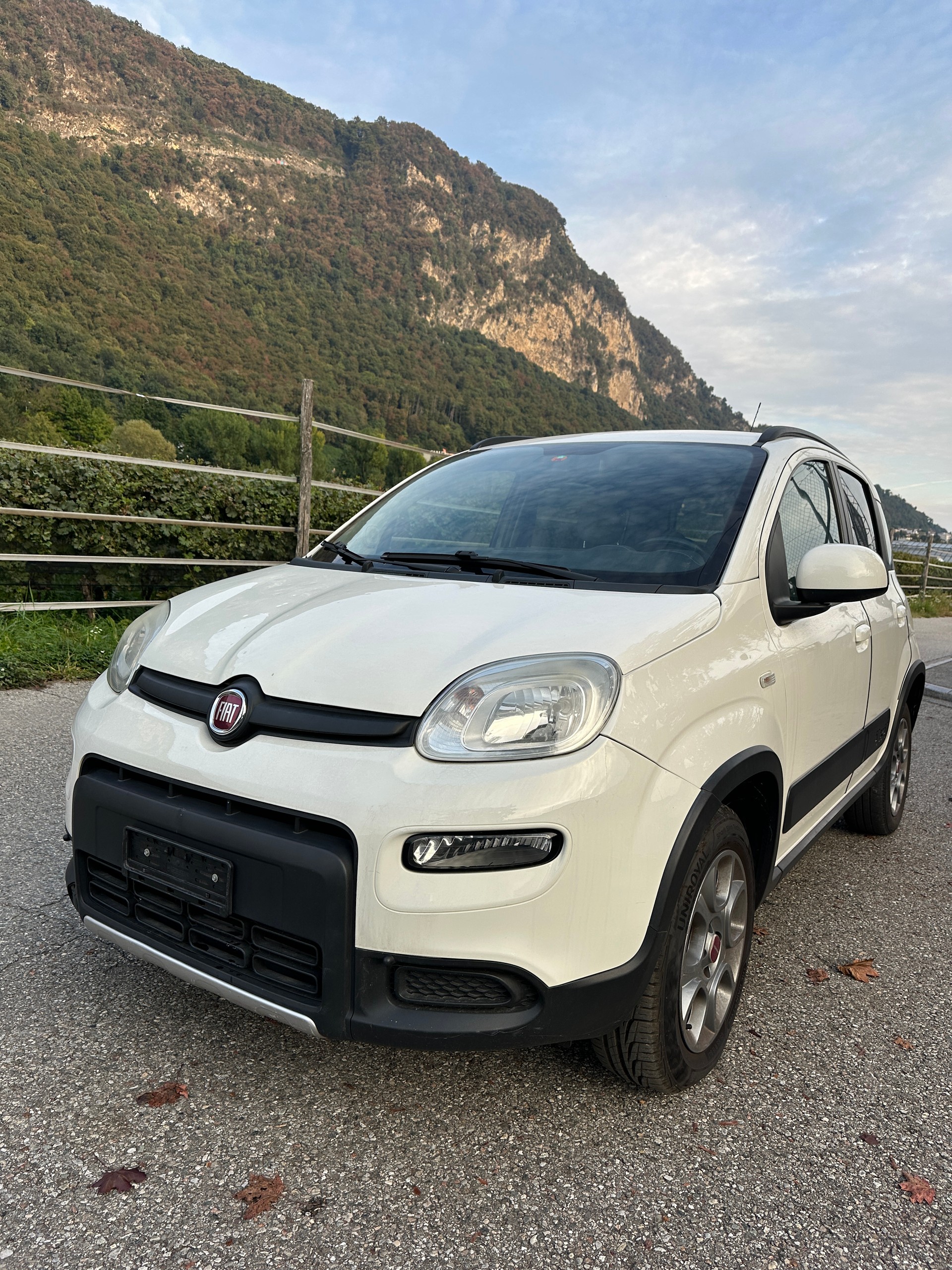FIAT Panda 0.9 Twinair Turbo Antartica 4x4-image-1
