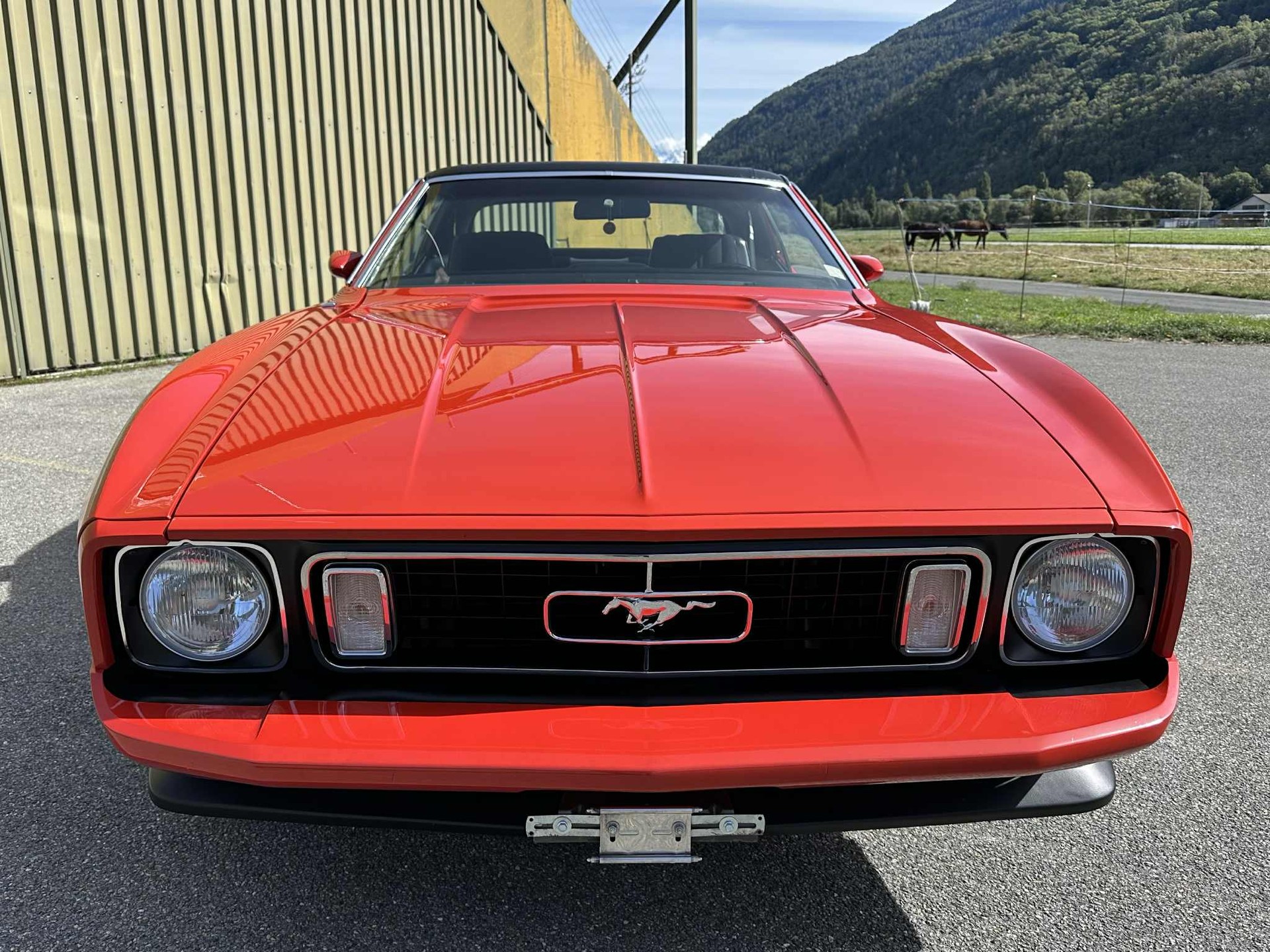FORD Grandé-image-3
