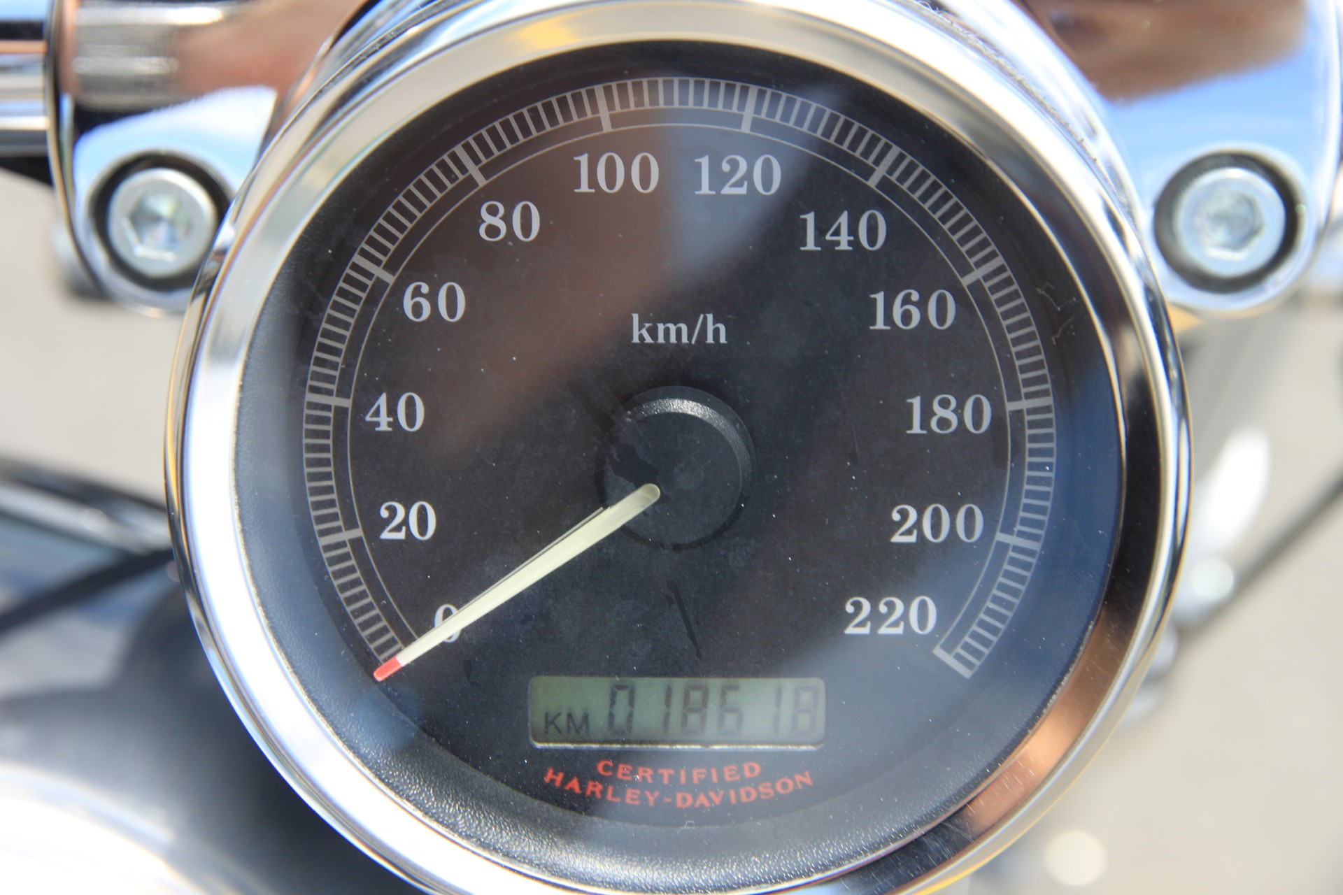HARLEY-DAVIDSON XL 1200 C Sportster Custom-image-4