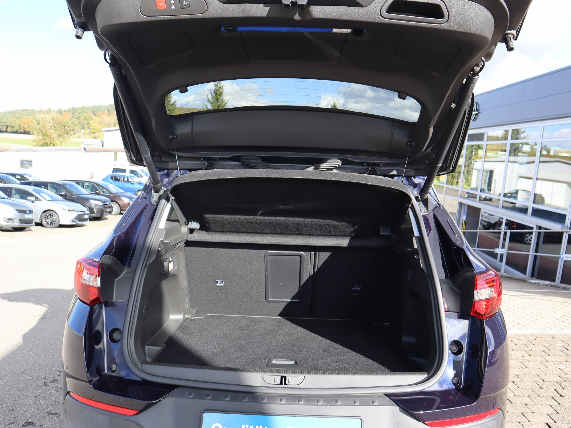 OPEL Grandland X 1.6CDTi Excellence-image-7