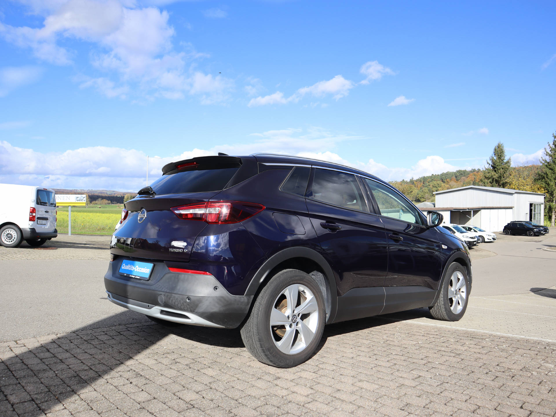 OPEL Grandland X 1.6CDTi Excellence-image-4