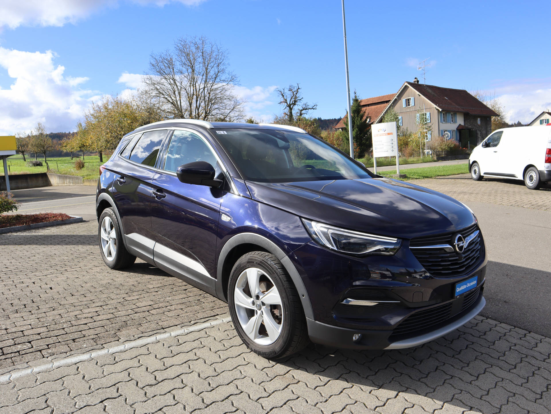 OPEL Grandland X 1.6CDTi Excellence-image-3