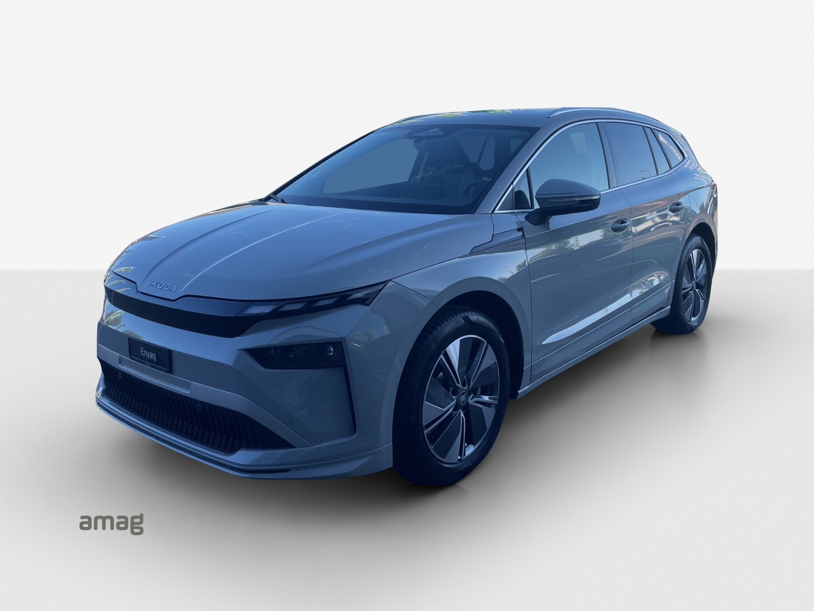 SKODA Enyaq 85x Dynamic 4x4-image-0