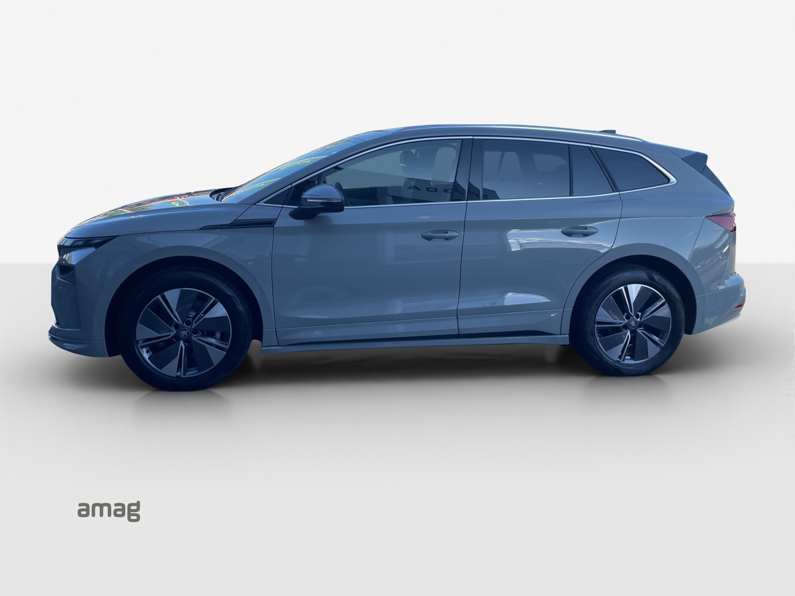 SKODA Enyaq 85x Dynamic 4x4-image-1