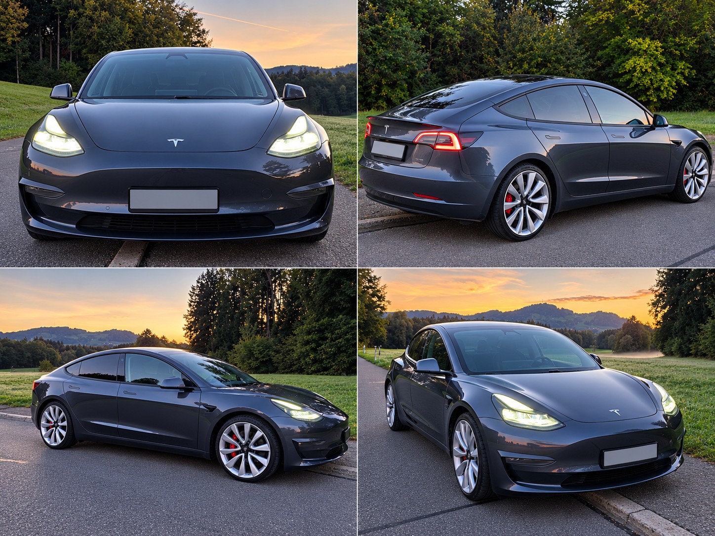 TESLA Performance D-image-1