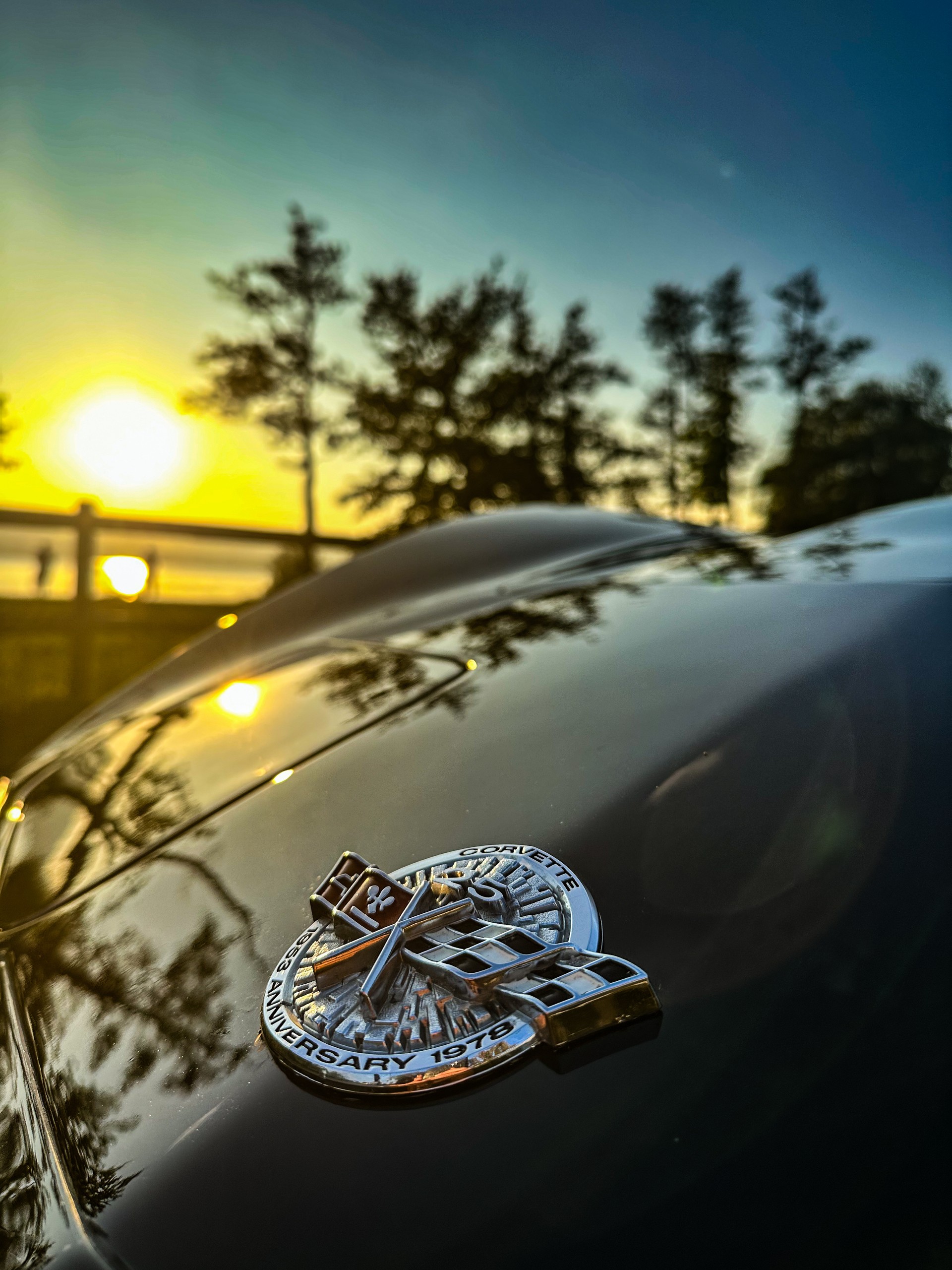 CHEVROLET Corvette C3, Aniversary, komplett revidiert! 1A Zustand. Wert 50‘000.-image-2
