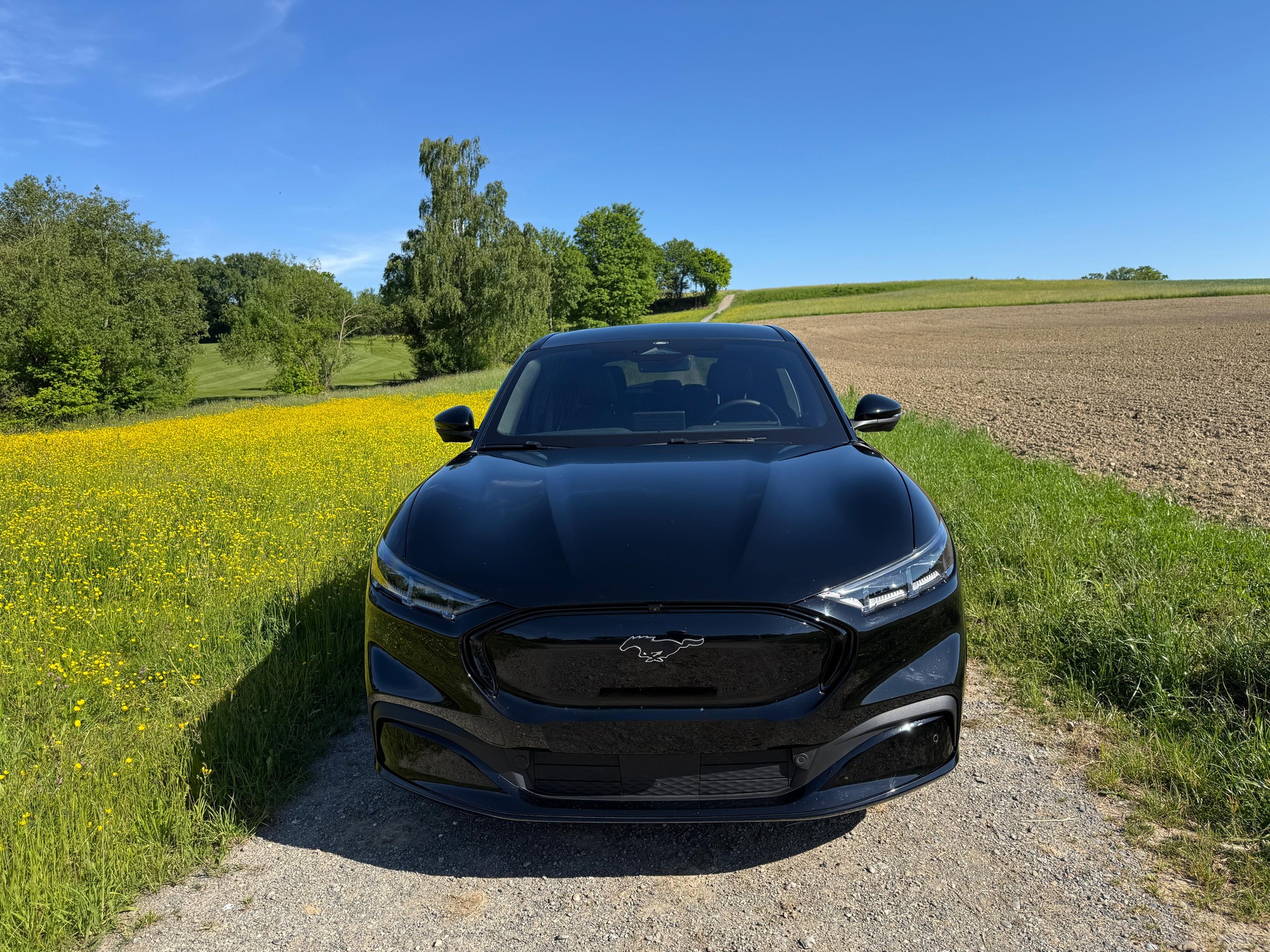 FORD Mustang MACH-E AWD 91 kWh-image-4