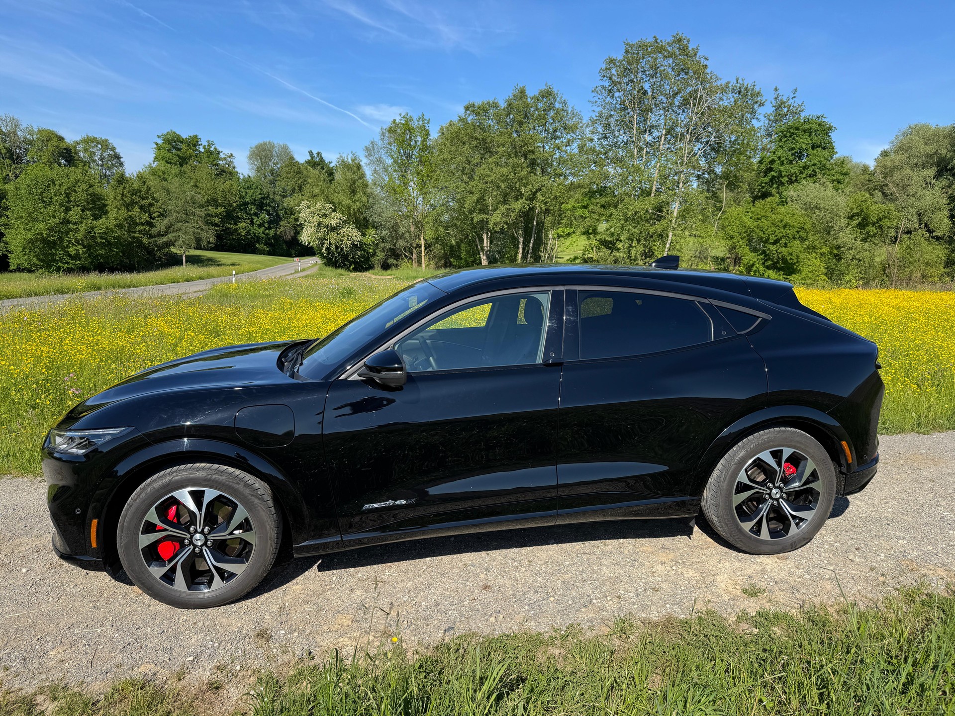 FORD Mustang MACH-E AWD 91 kWh-image-3