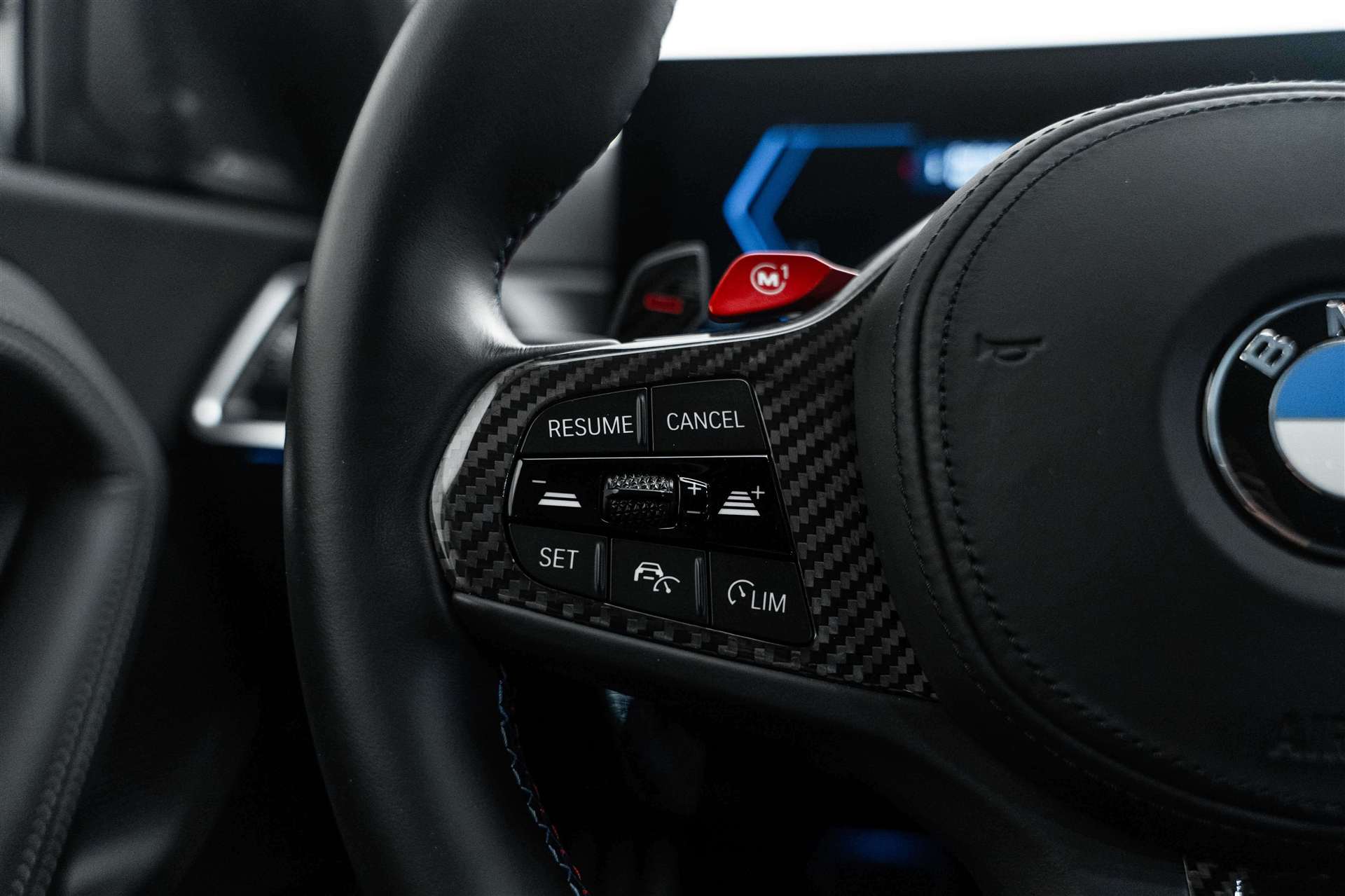 BMW M2 Steptronic 460PS Blue-Beast-image-19
