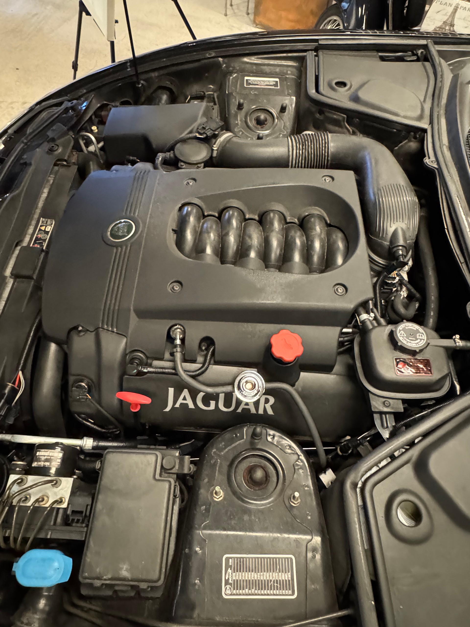 JAGUAR XK8-image-17