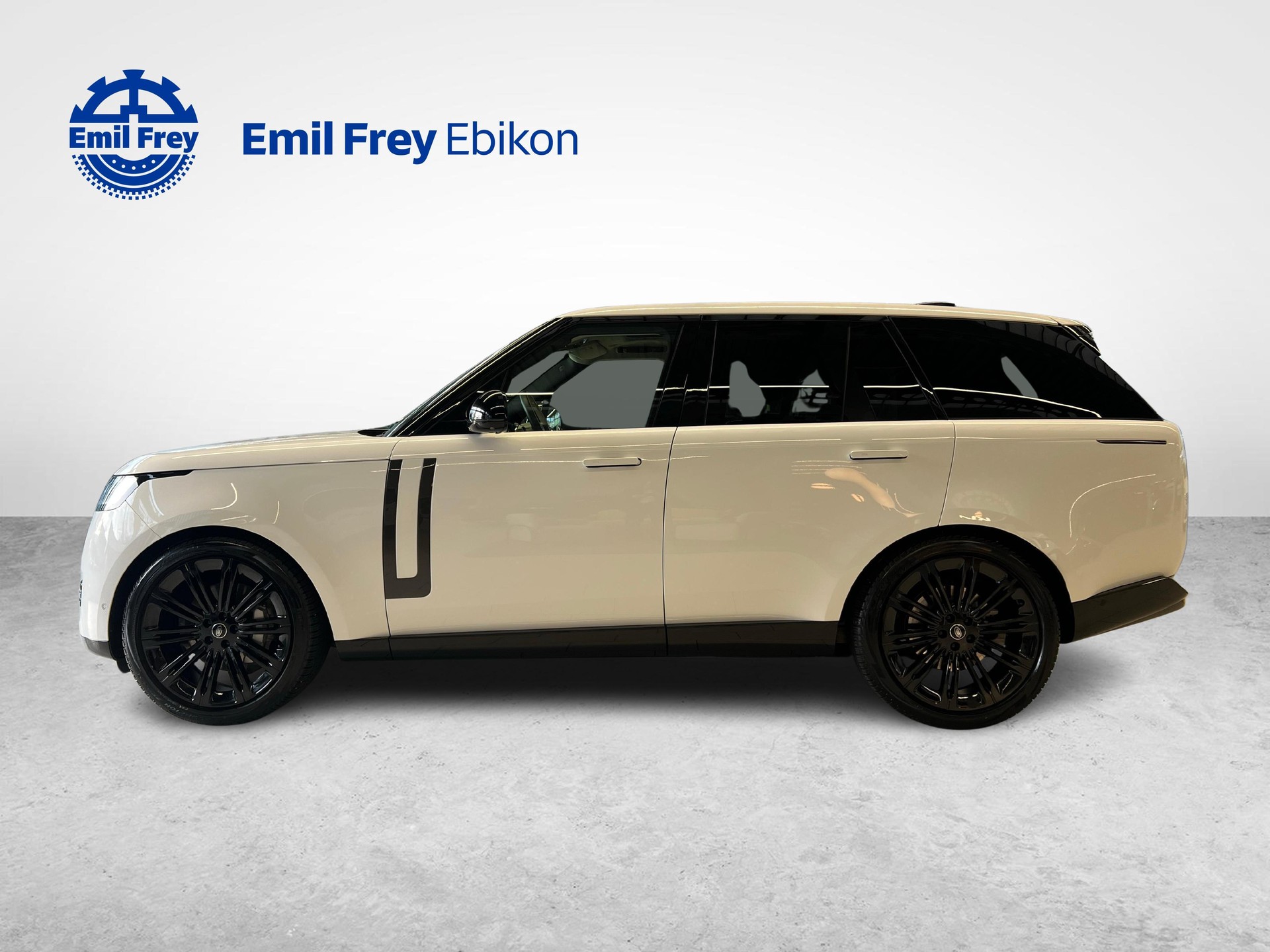LAND ROVER Range Rover 3.0 D I6 300 HSE-image-1