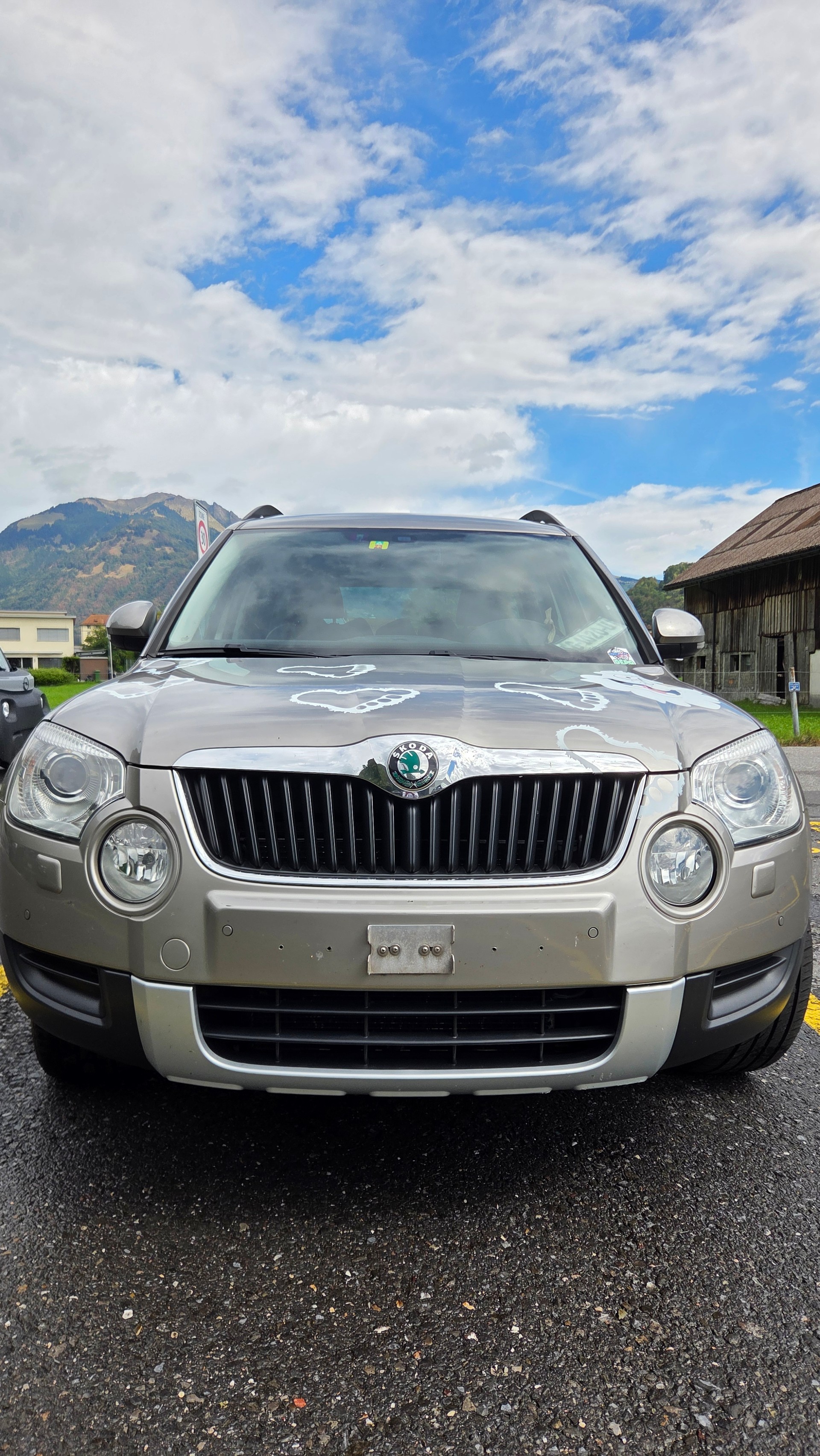 SKODA Yeti 2.0tdi 4x4 140ps dsg-image-0