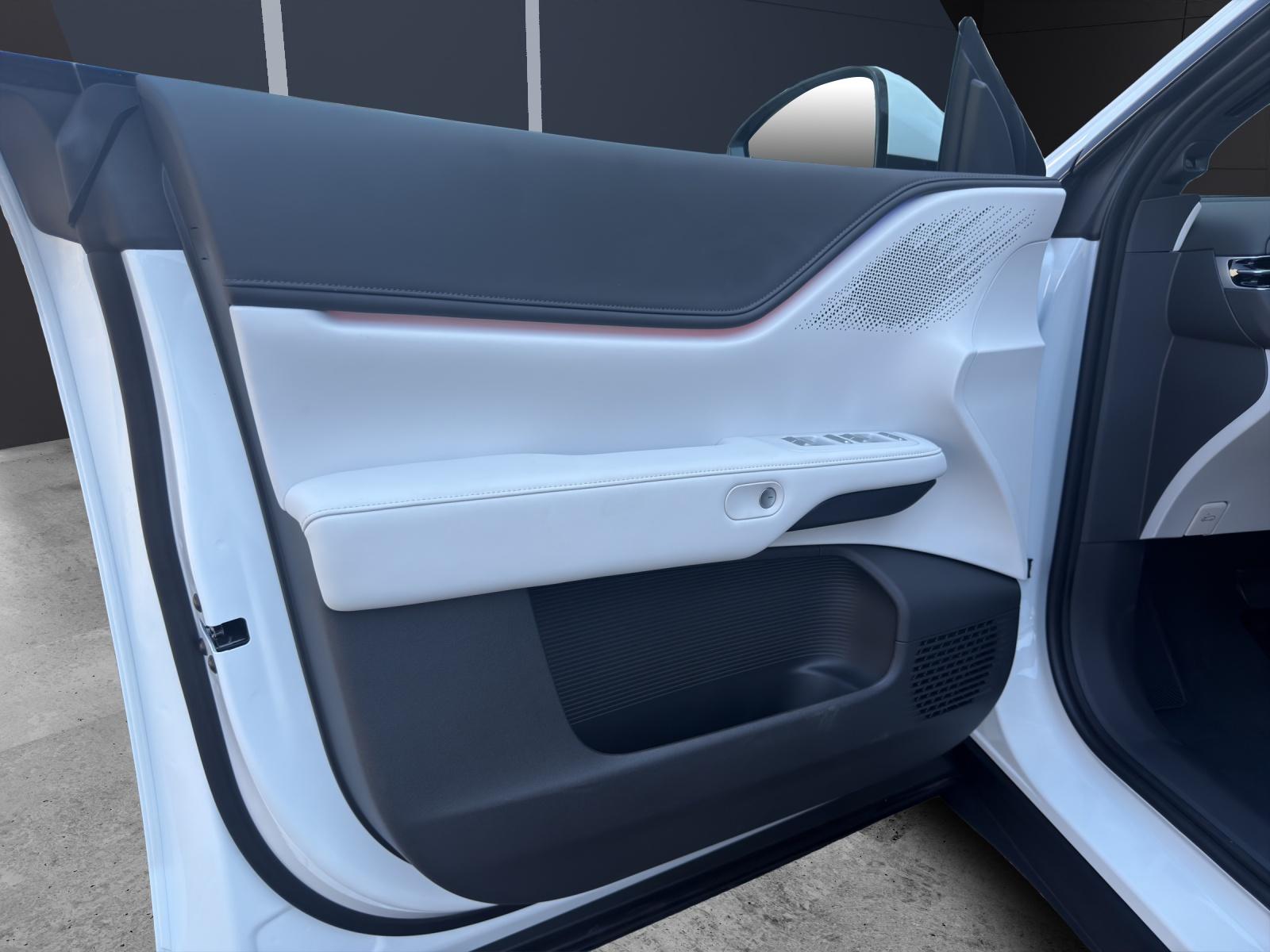 XPENG G6 Performance AWD-image-14