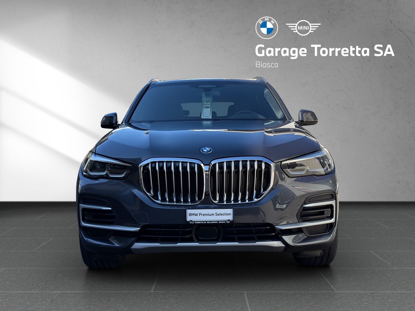 BMW X5 xDrive45e xLine Steptronic-image-7