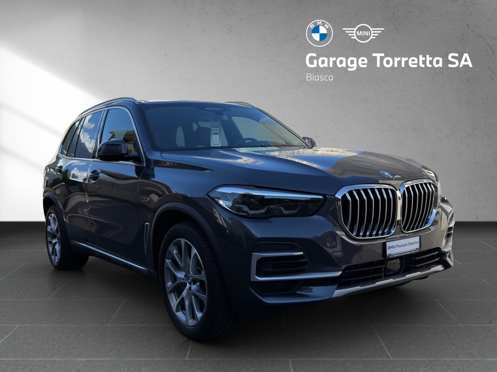 BMW X5 xDrive45e xLine Steptronic-image-6