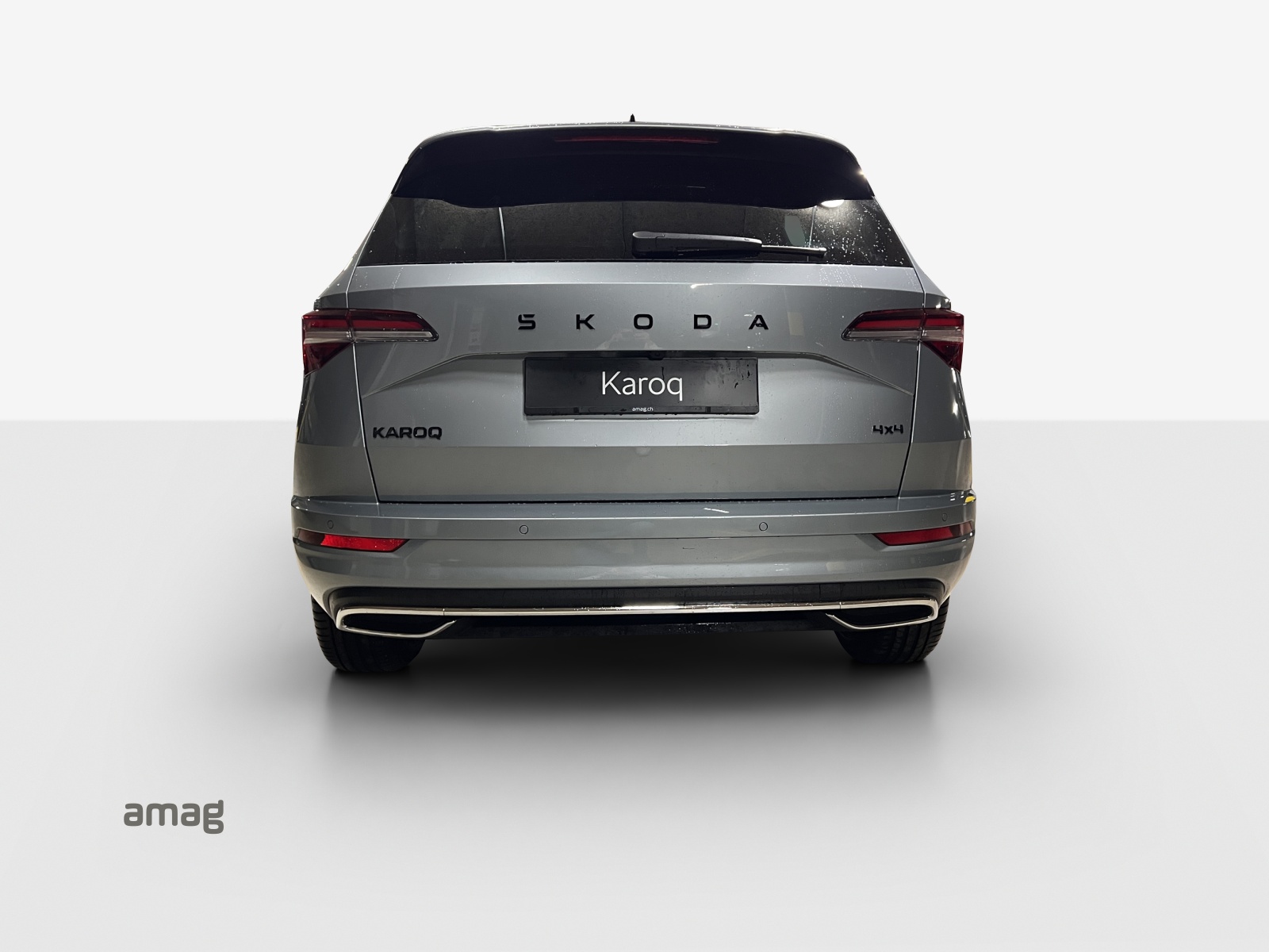 SKODA Karoq 2.0 TSI Dynamic Limited Edition 4x4 DSG-showroom-element-3