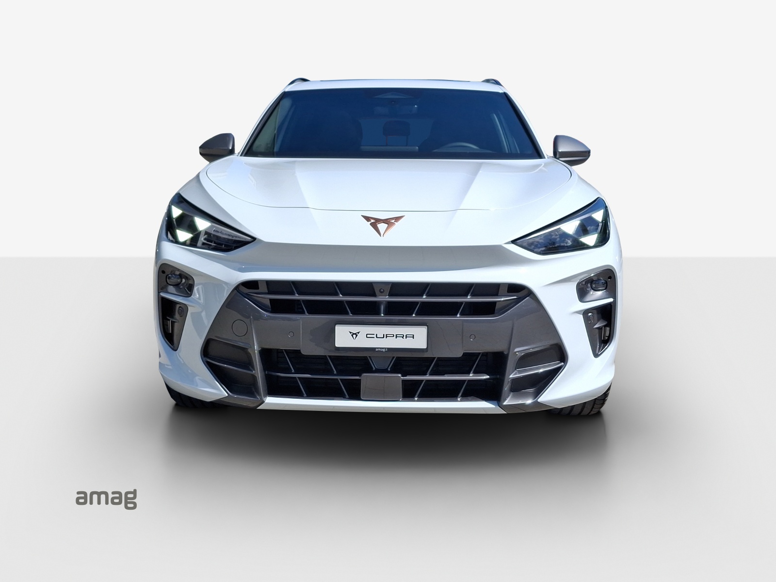 CUPRA Terramar 2.0 TSI DSG Prime Edition VZ 4Drive-image-6