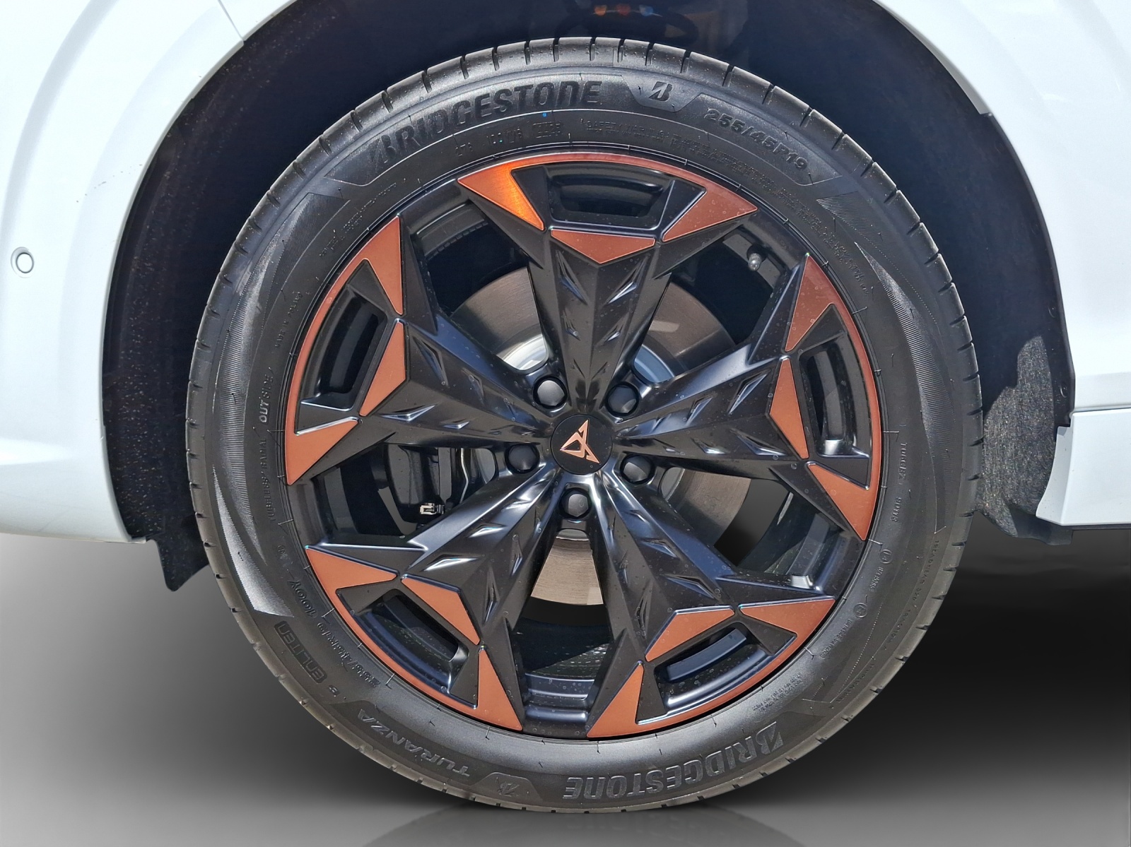 CUPRA Terramar 2.0 TSI DSG Prime Edition VZ 4Drive-image-14