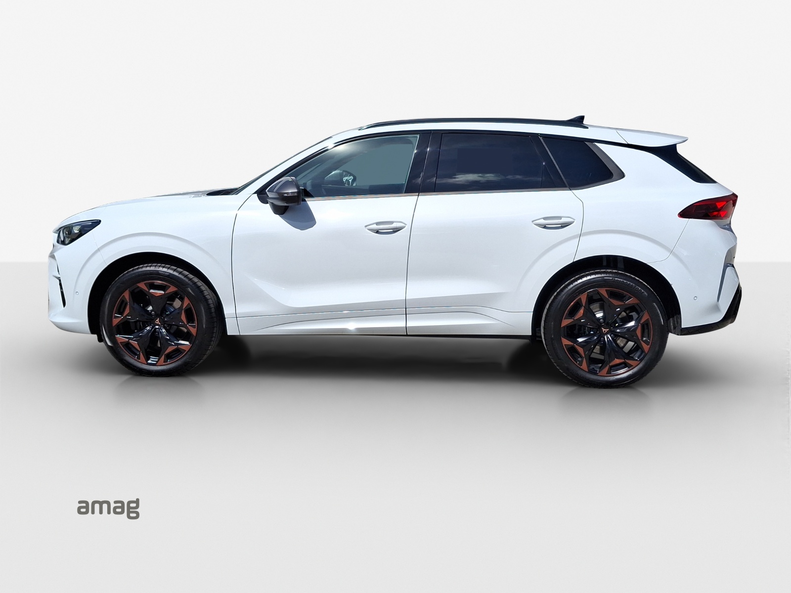 CUPRA Terramar 2.0 TSI DSG Prime Edition VZ 4Drive-image-1