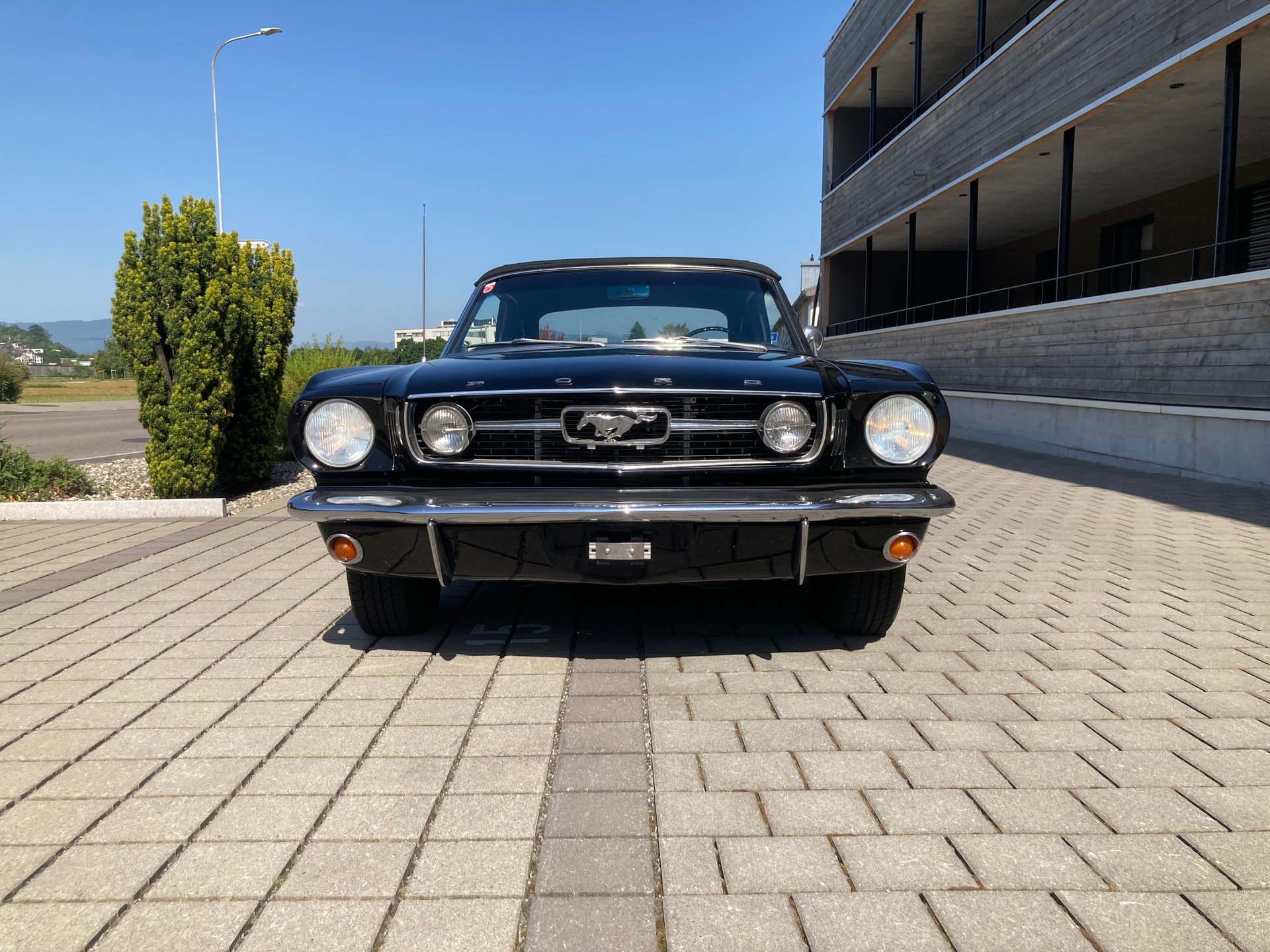 FORD MUSTANG-image-3
