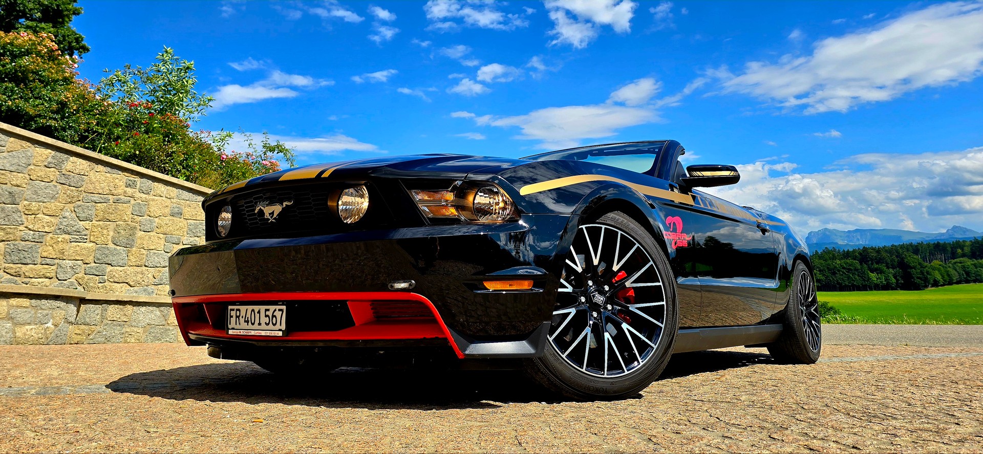 FORD Mustang 302 V8 455 CV/PS