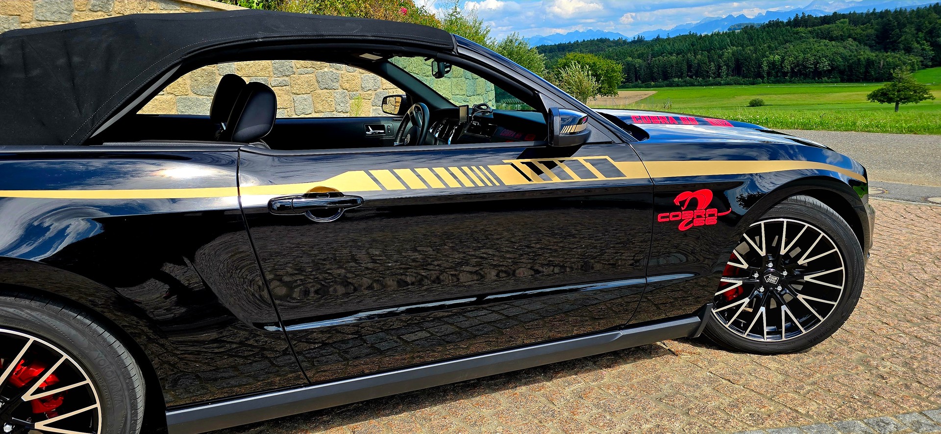 FORD Mustang 302 V8 455 CV/PS-image-6