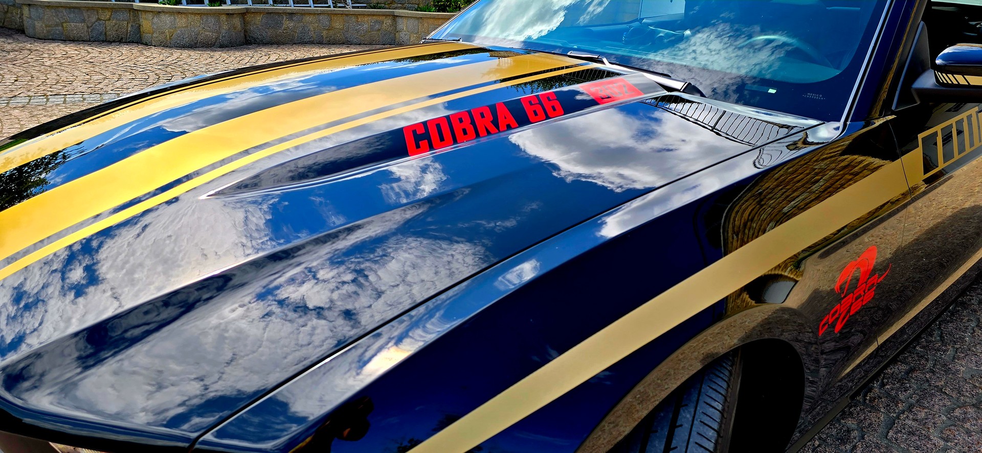 FORD Mustang 302 V8 455 CV/PS-image-18