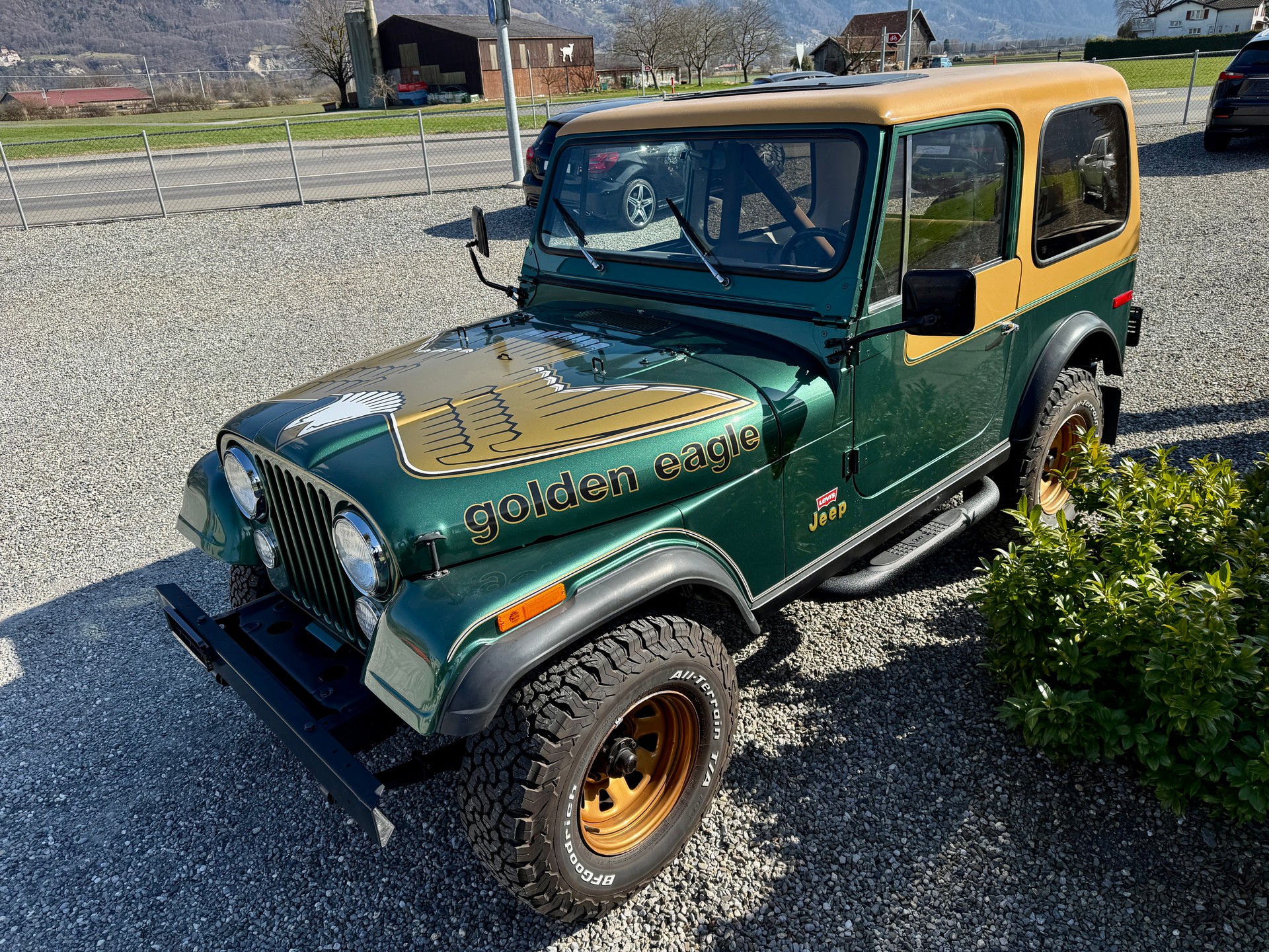 JEEP CJ 7 V8 golden eagle Levis Edition Veteran-image-6