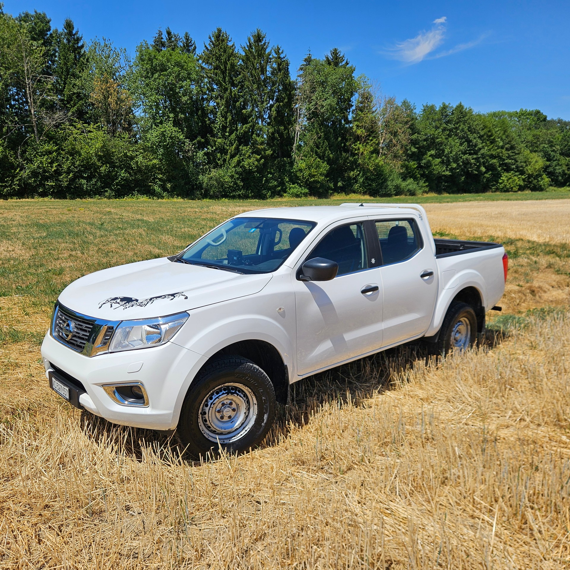 NISSAN NAVARA-image-1