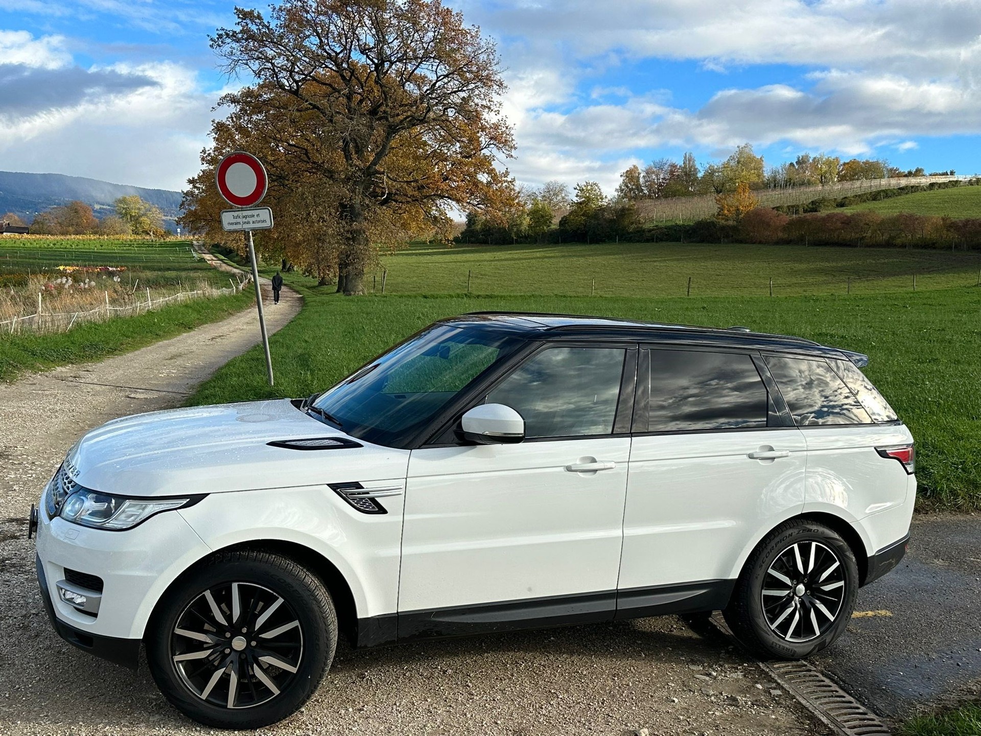 LAND ROVER Range Rover Sport 3.0 TDV6 SE Automatic-image-0