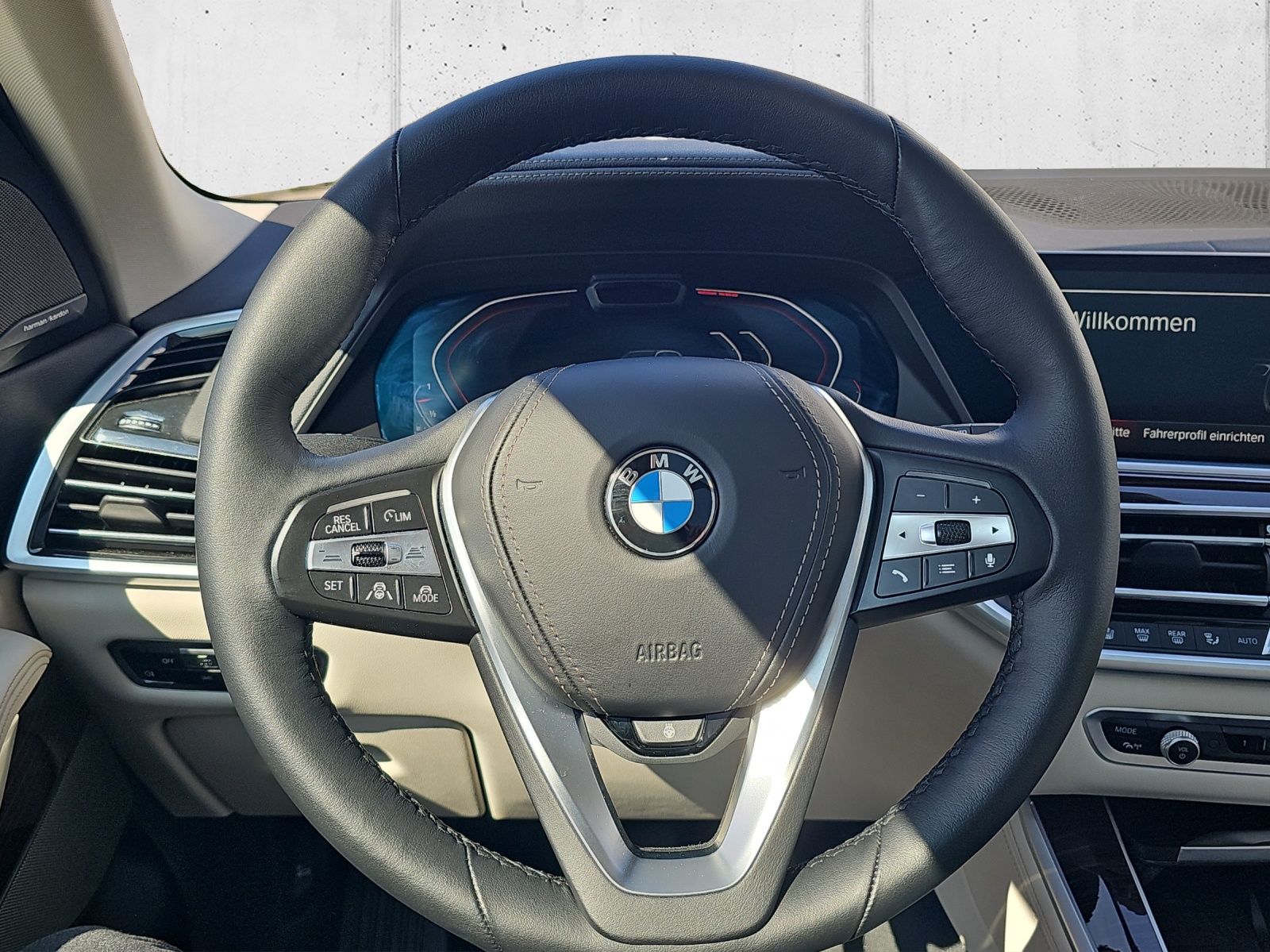 BMW X5 xDrive 48V 40d xLine-image-10
